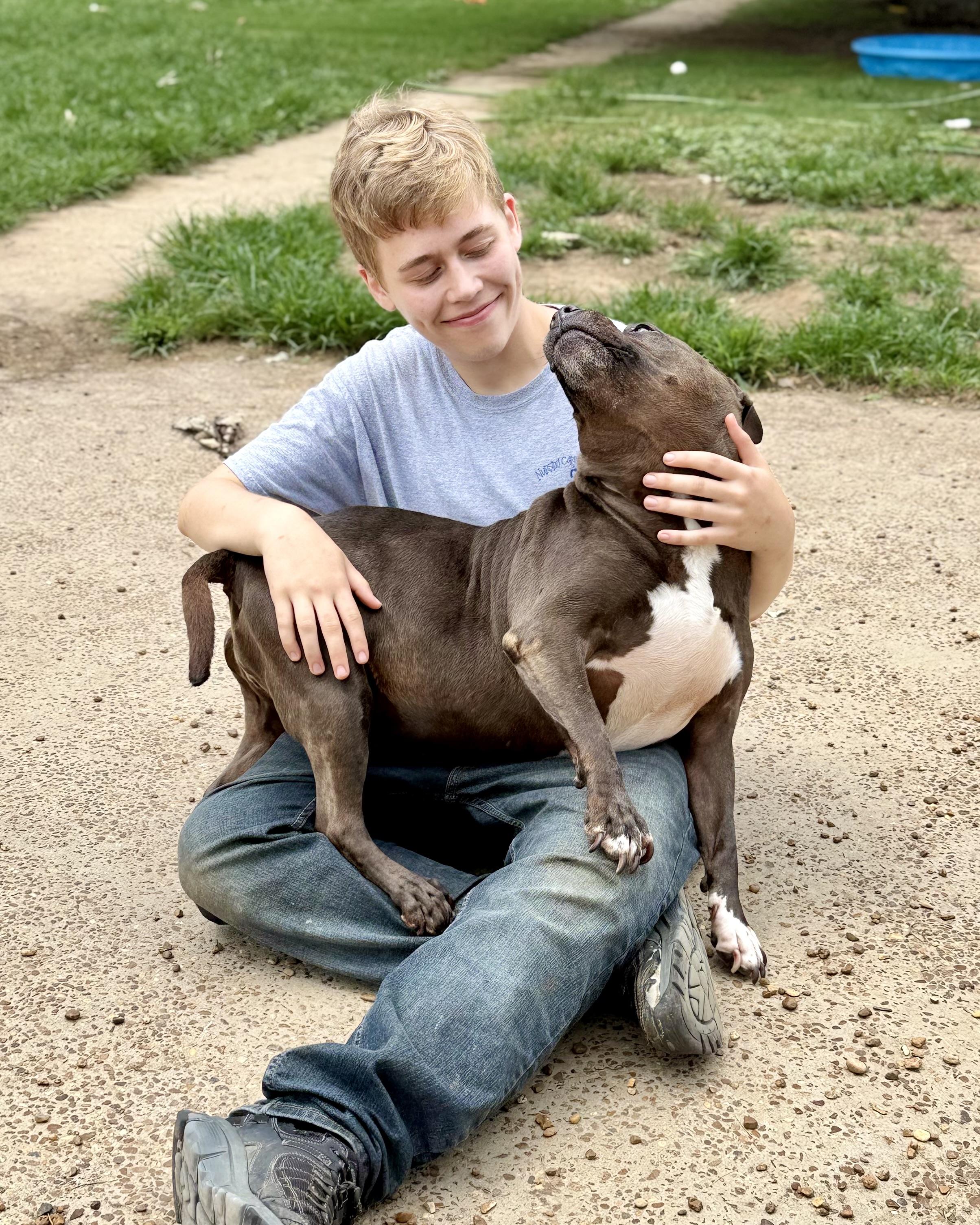 Enlarge Dutchess, a Adoptable Mixed Breed in Southaven , MS image 3/6