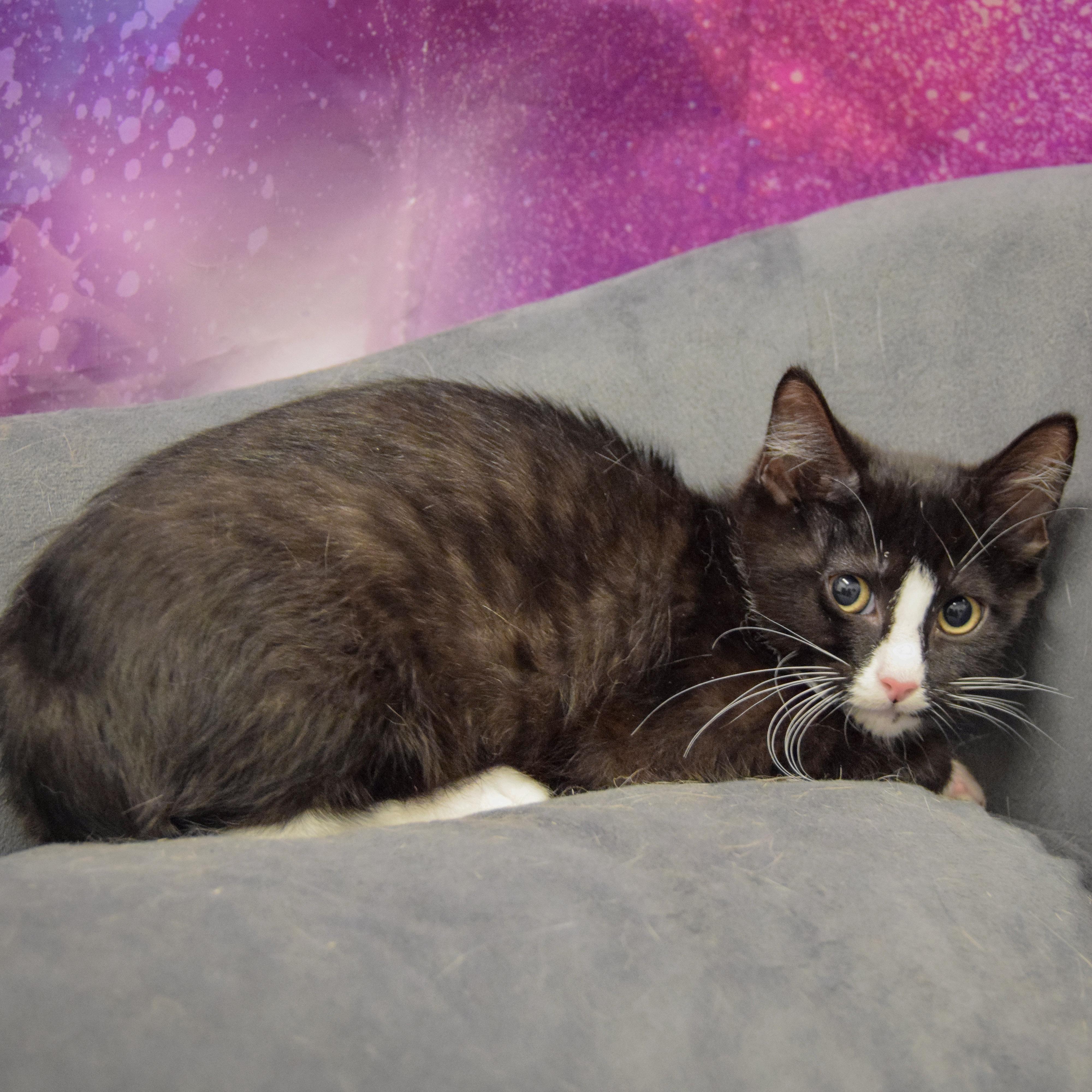Sprout photo 5