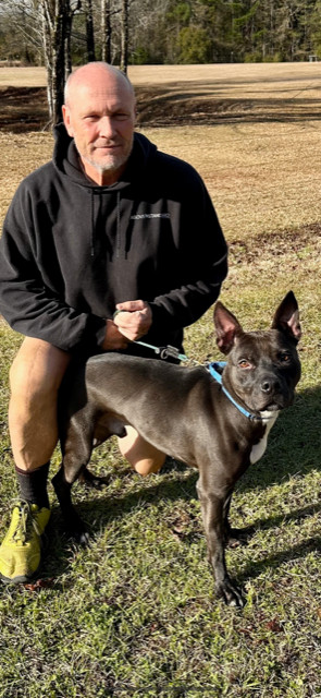 THOMAS, a Adoptable mixed breed in Defuniak Springs , FL image 1/5