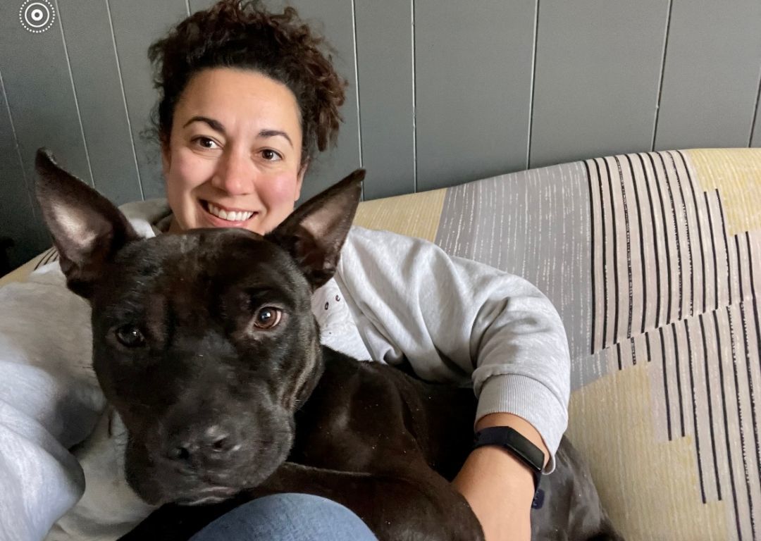 THOMAS, a Adoptable mixed breed in Defuniak Springs , FL image 5/5