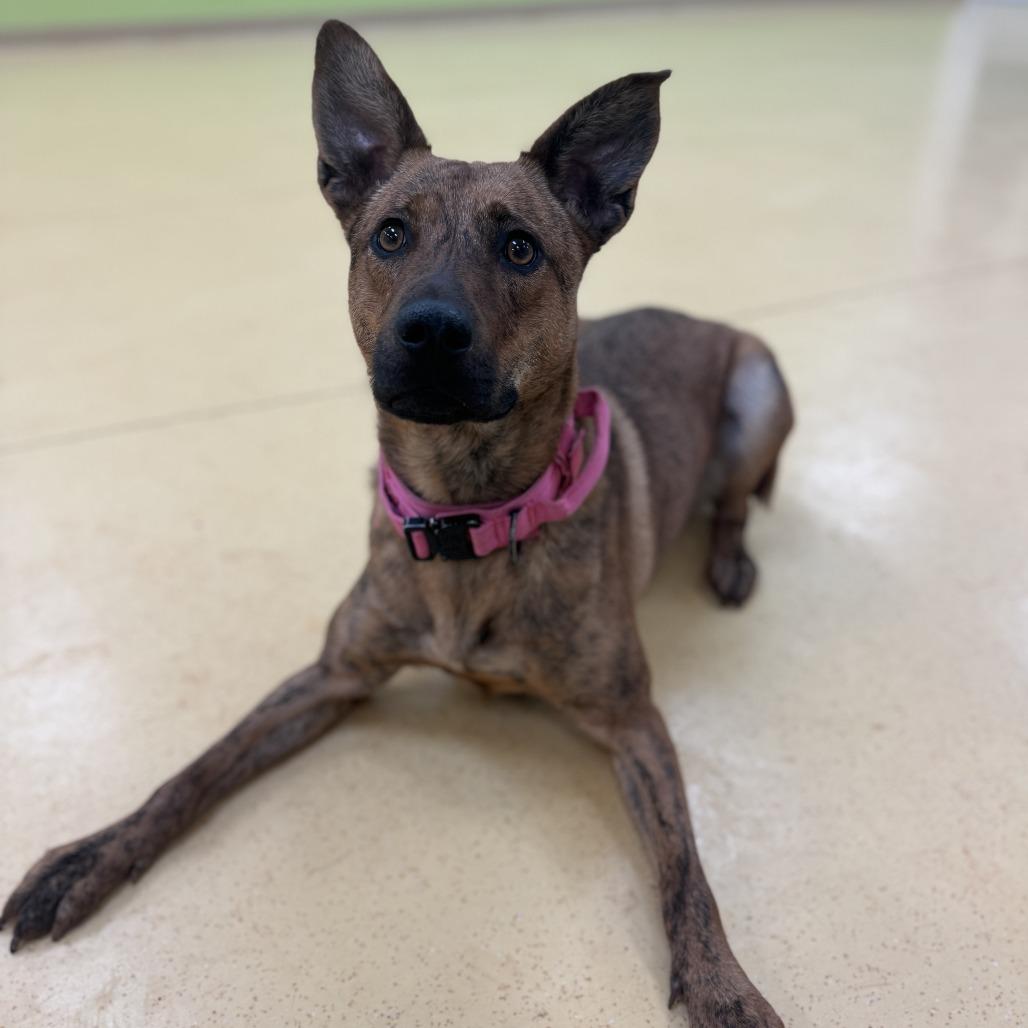 Princess — thumbnail 2