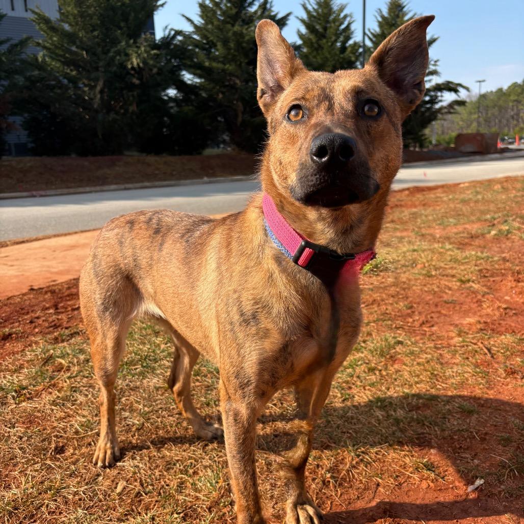 Princess — thumbnail 3