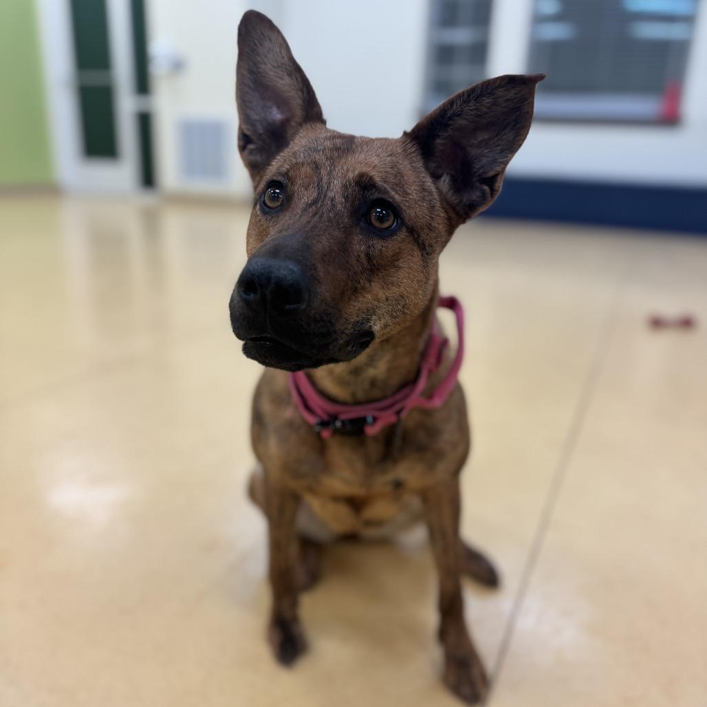 Princess — thumbnail 4