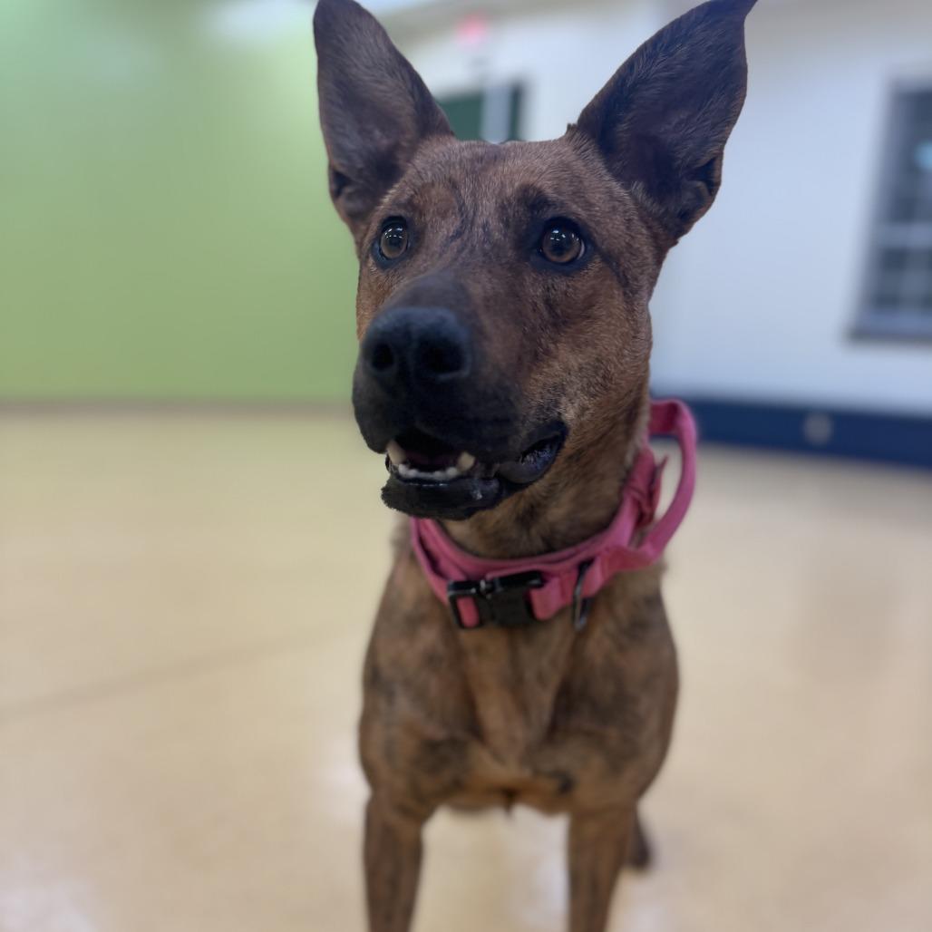 Princess — thumbnail 5