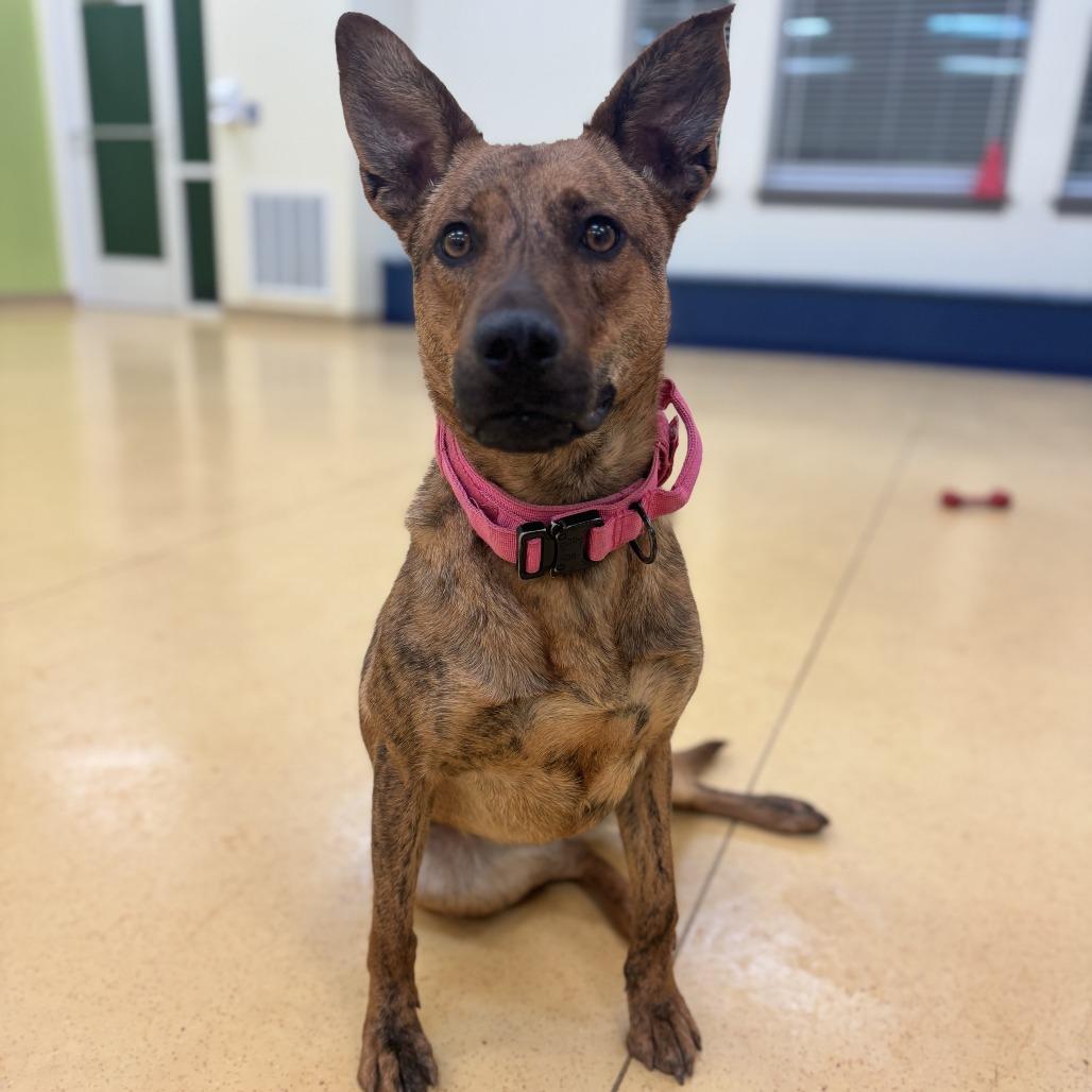 Princess — thumbnail 6