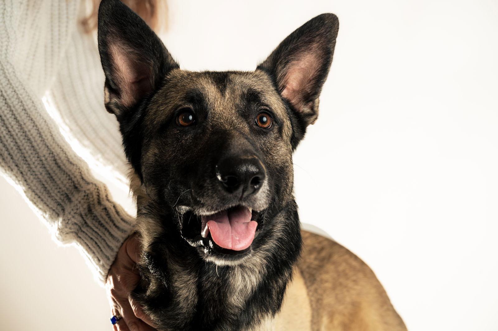 Boone — thumbnail 3