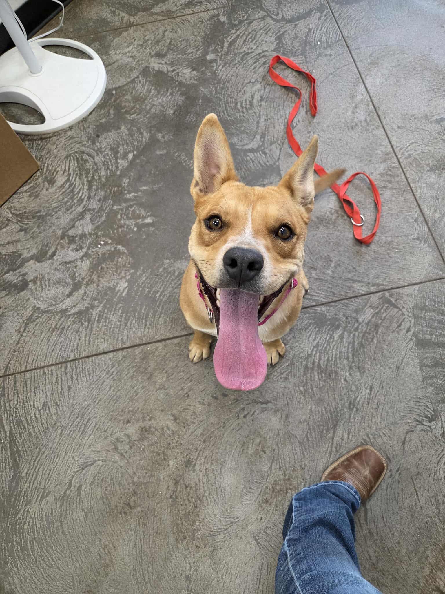 Happy