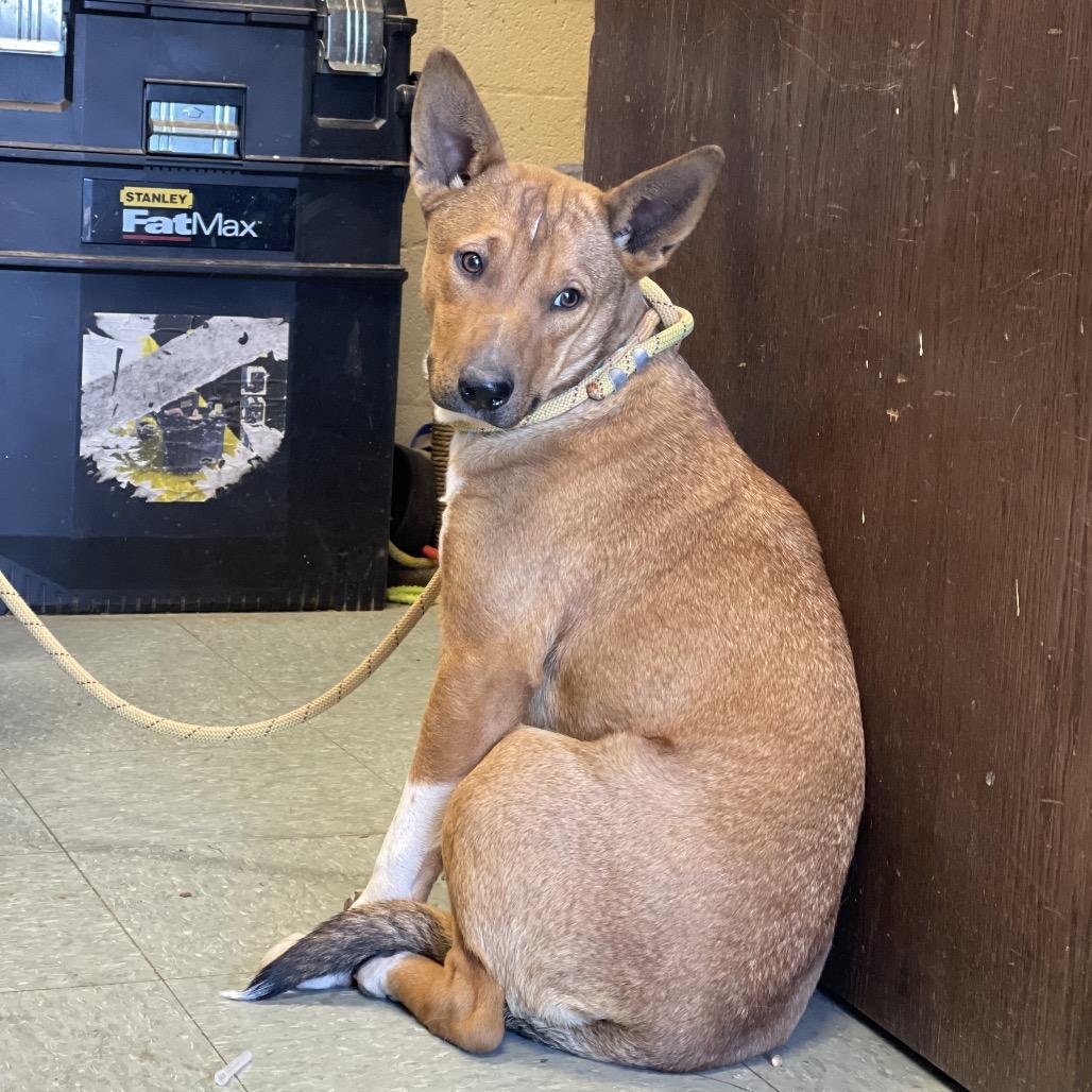 Aubreigh thumbnail 3