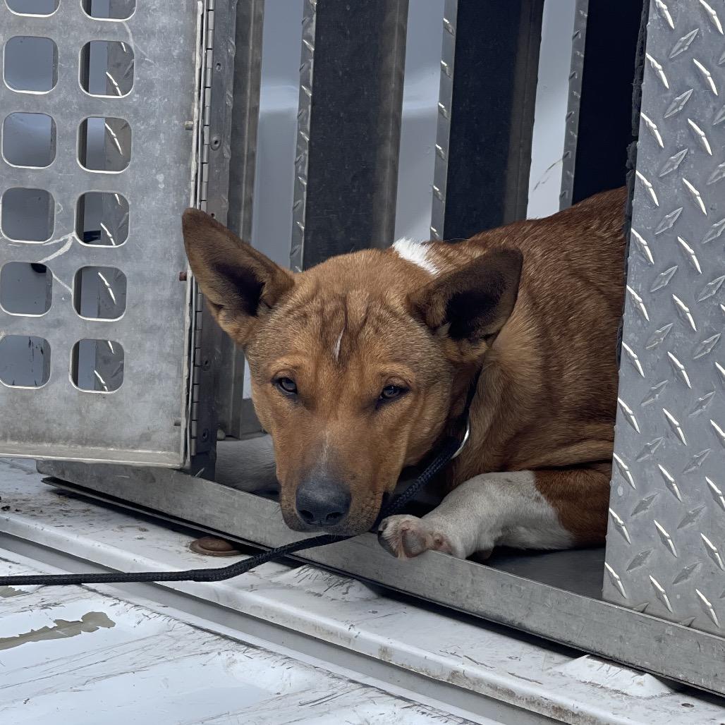 Aubreigh thumbnail 4