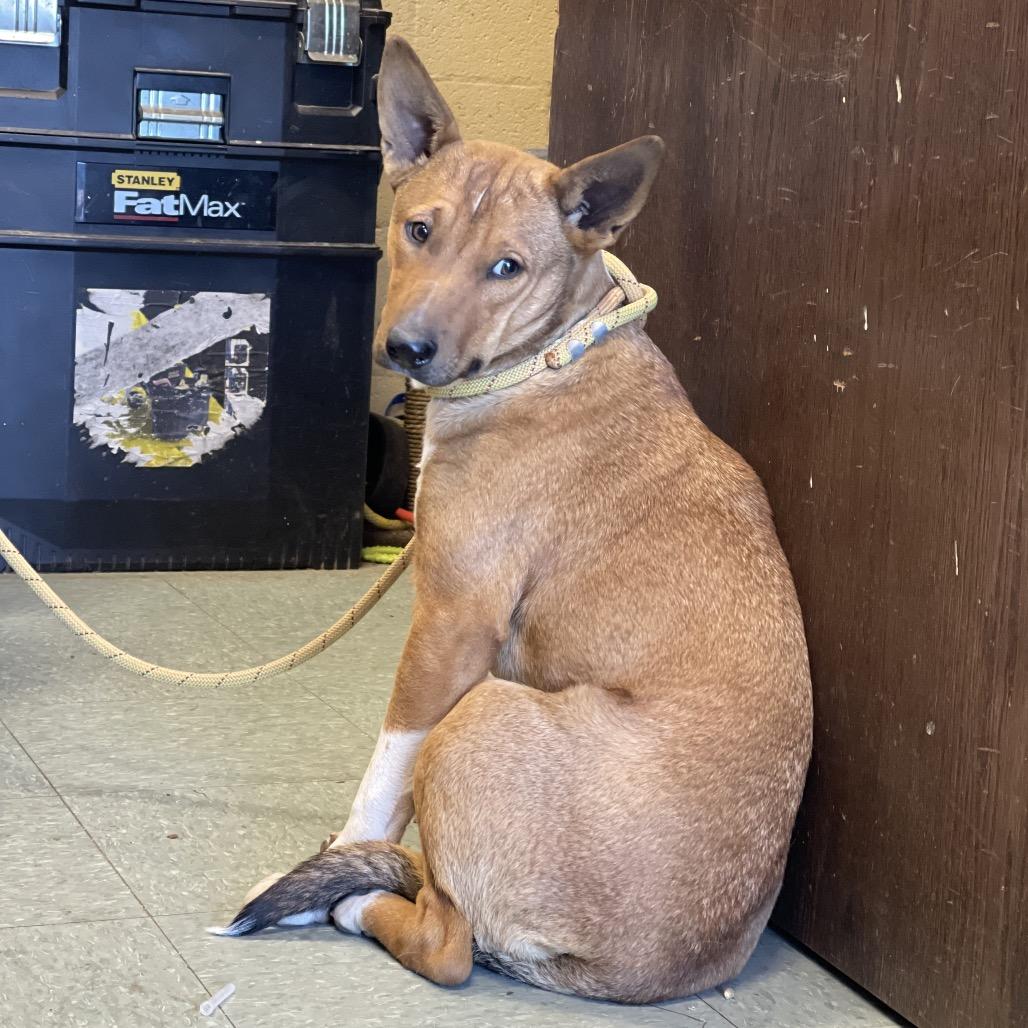 Aubreigh thumbnail 5