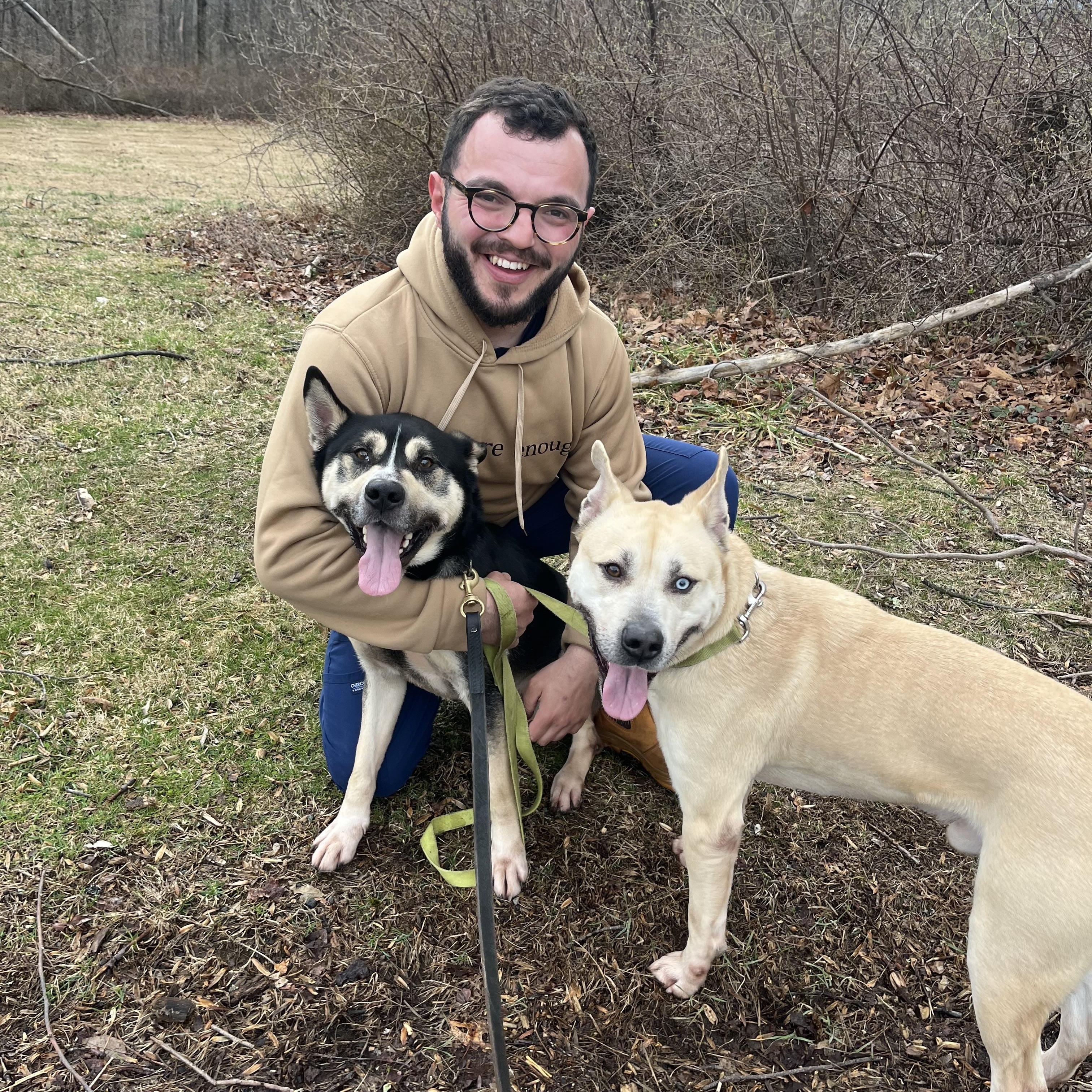 Enlarge Jasper, a ADOPTABLE mixed breed in Mendham, NJ image 4/4