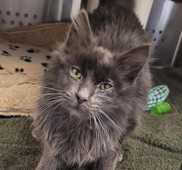 Abstract — thumbnail 2