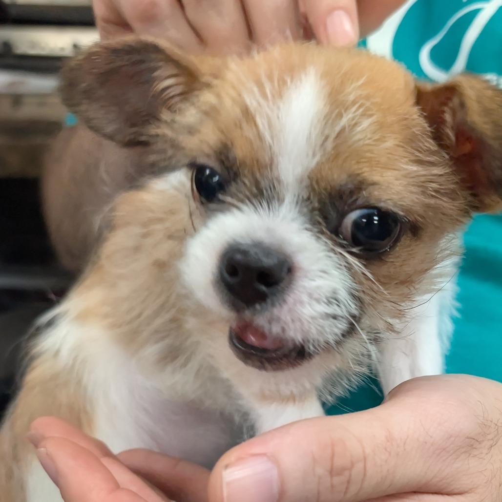 Benjamin thumbnail 3