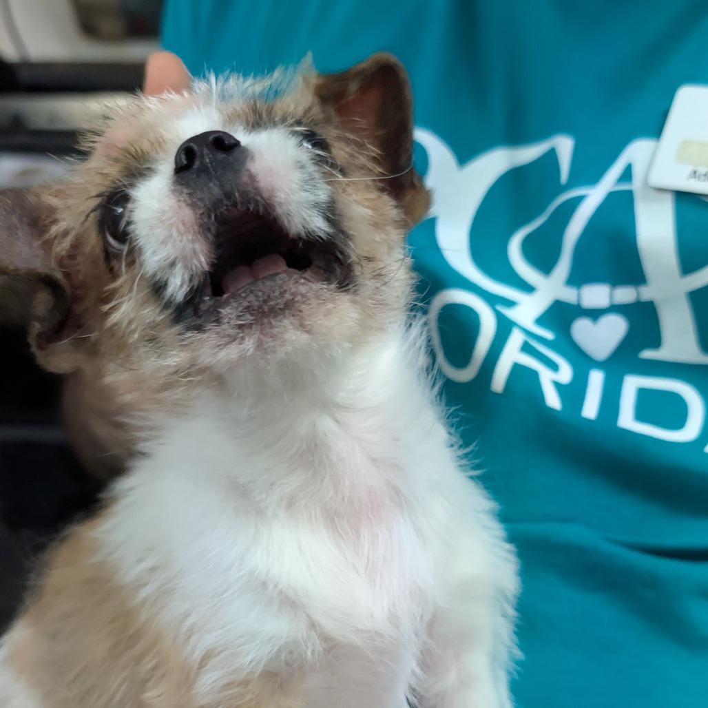 Benjamin thumbnail 4