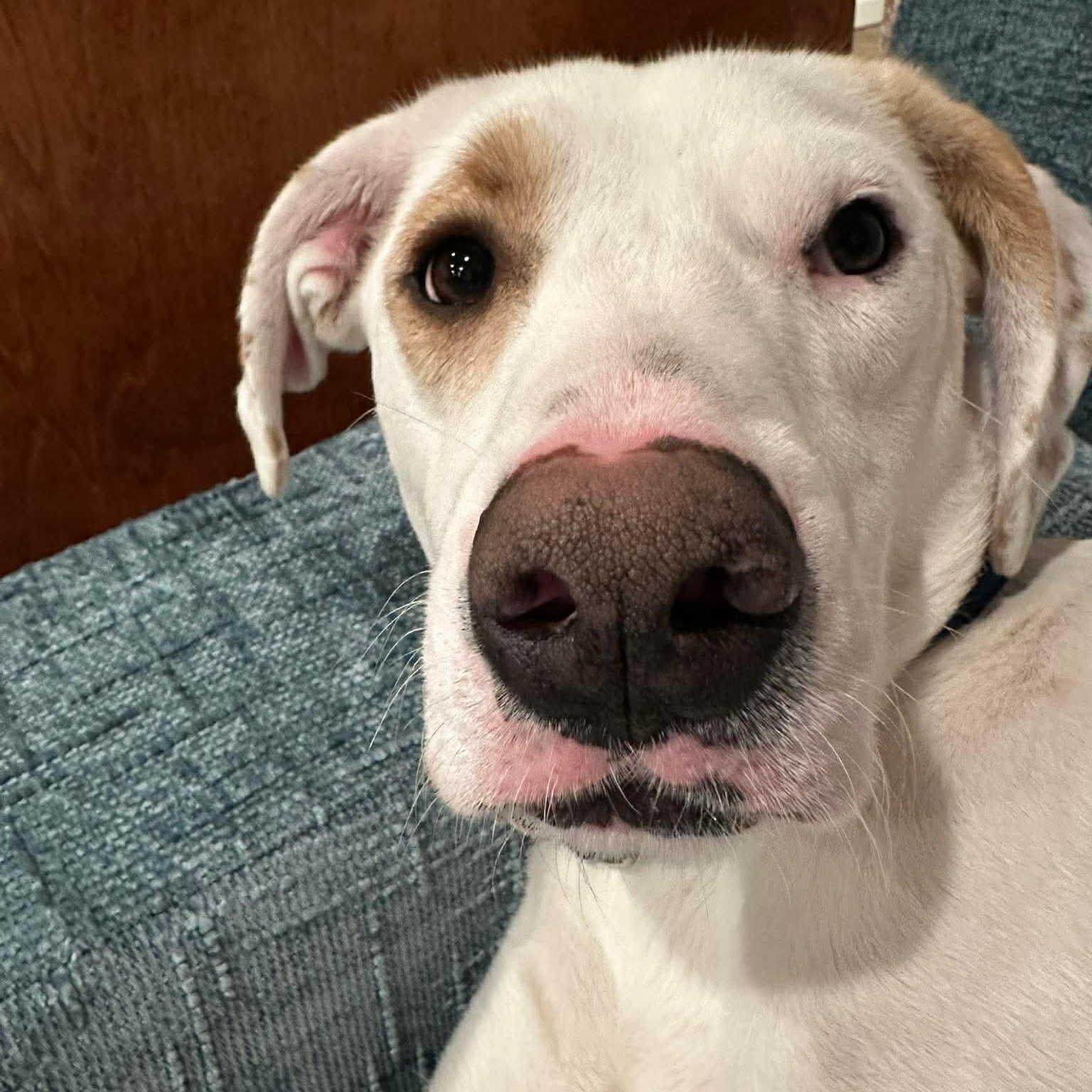 Lumos — thumbnail 5