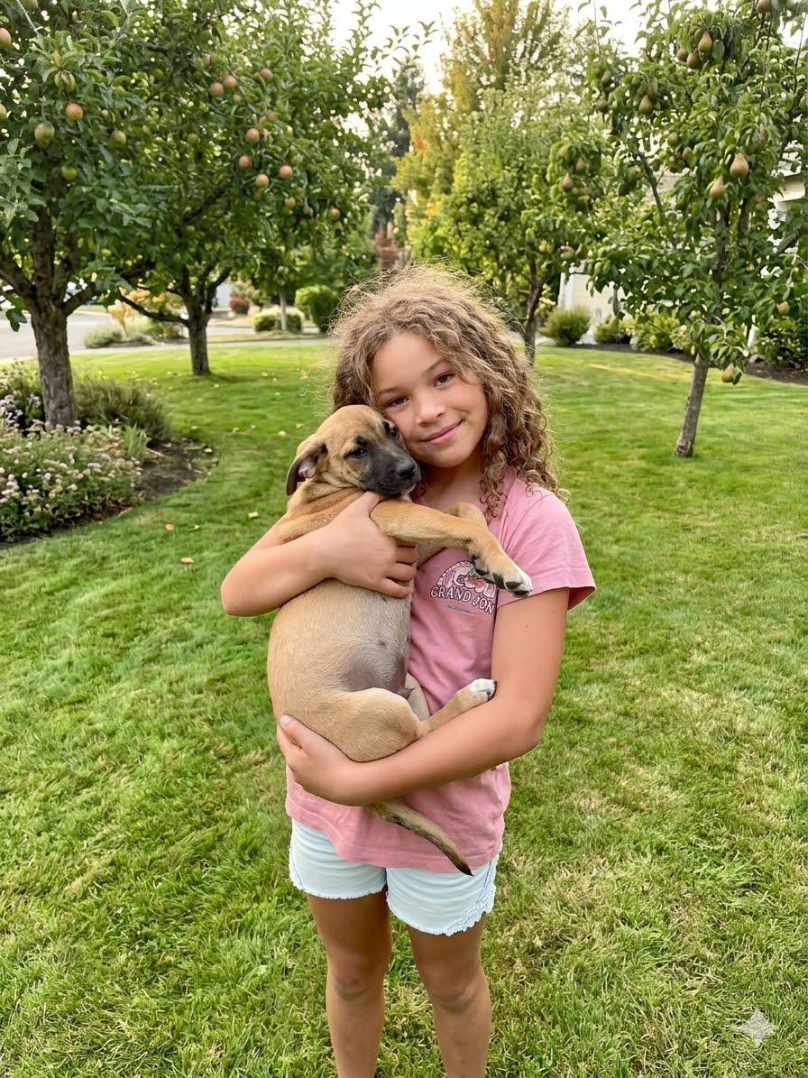 Enlarge Malaga Mariposa, a ADOPTABLE mixed breed in Lacey, WA image 5/5