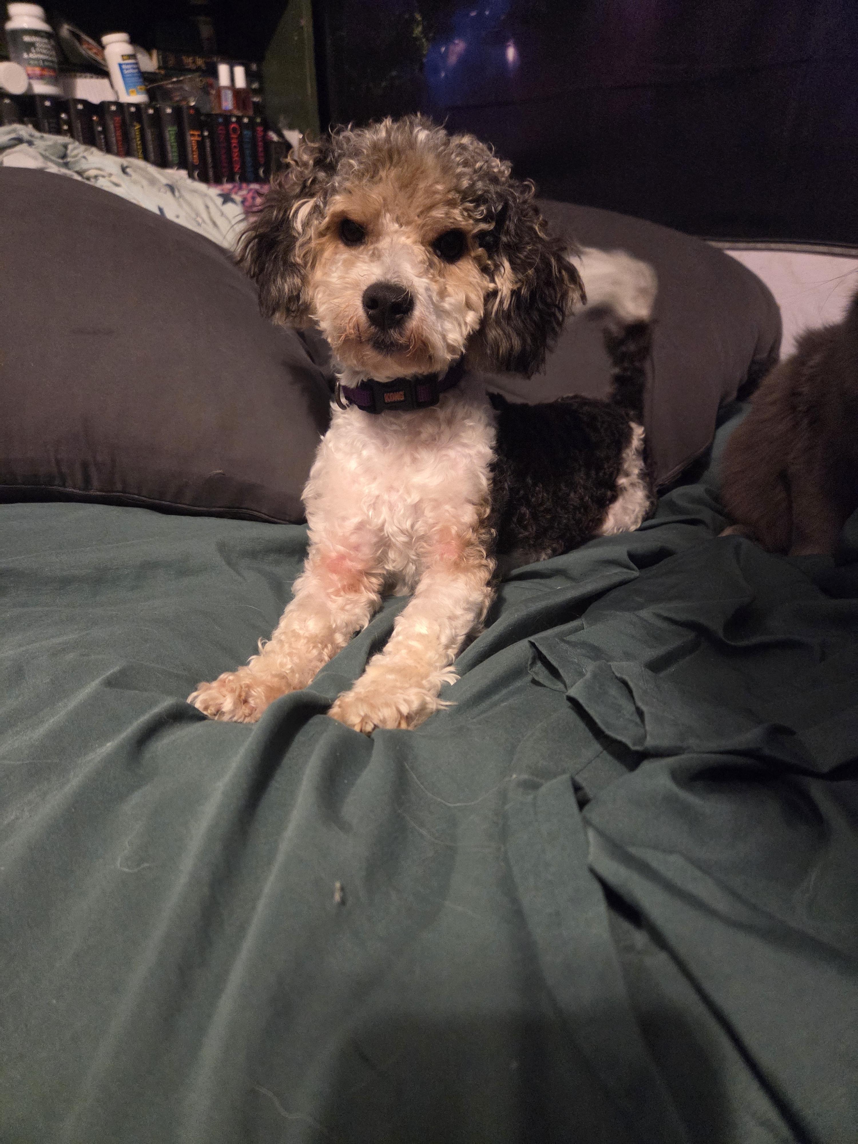 Maizie