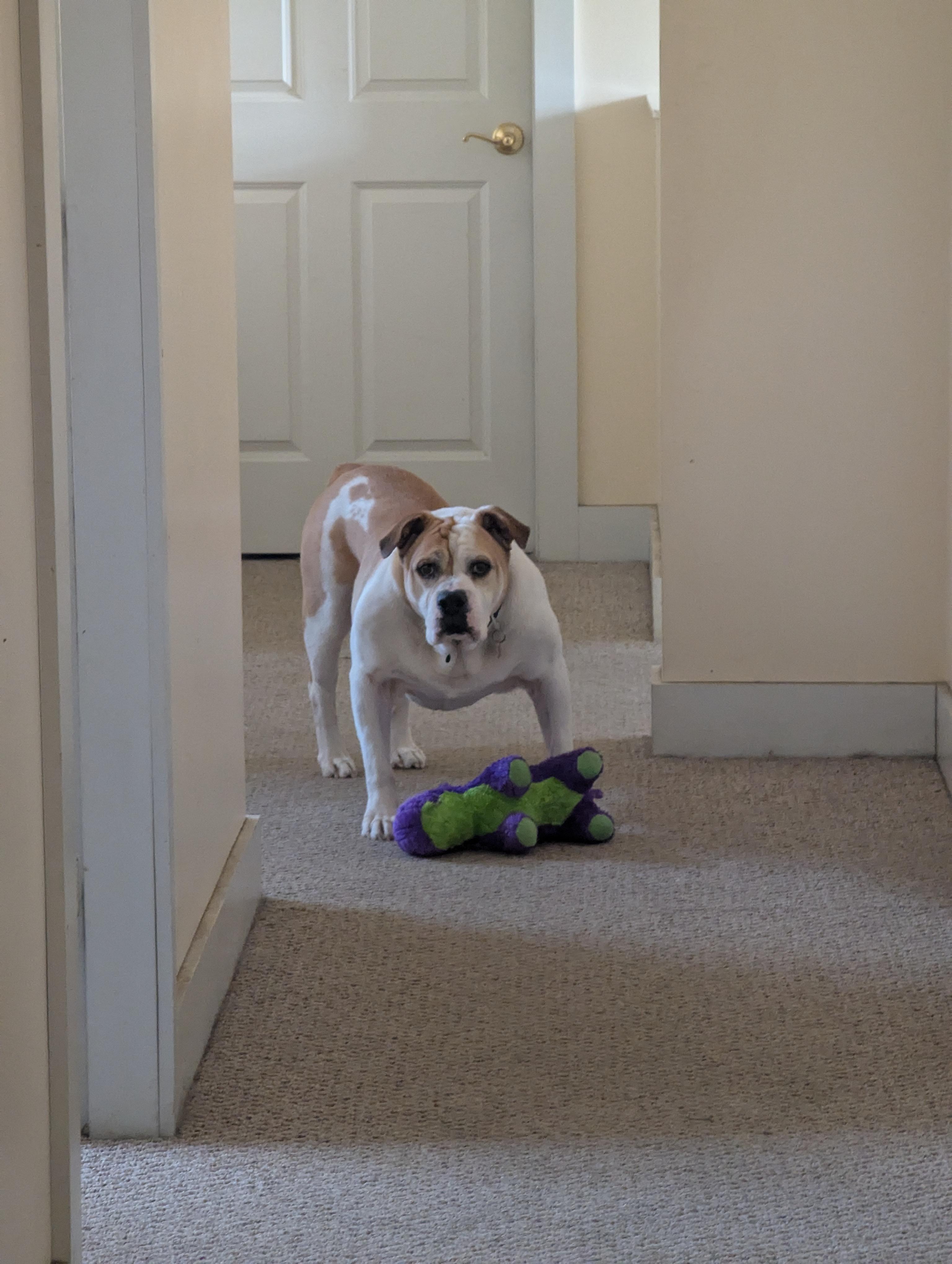 Clyde photo 2