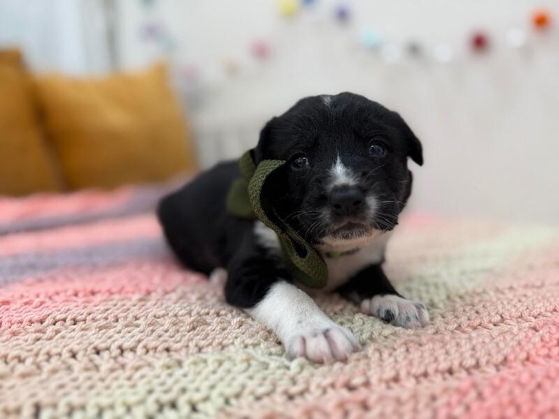 Maggie Happy Baby — thumbnail 3