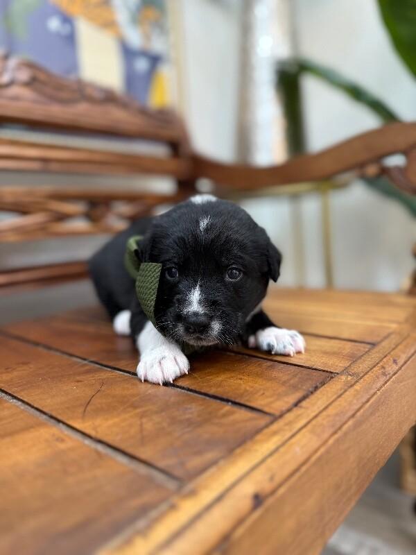 Maggie Happy Baby — thumbnail 5