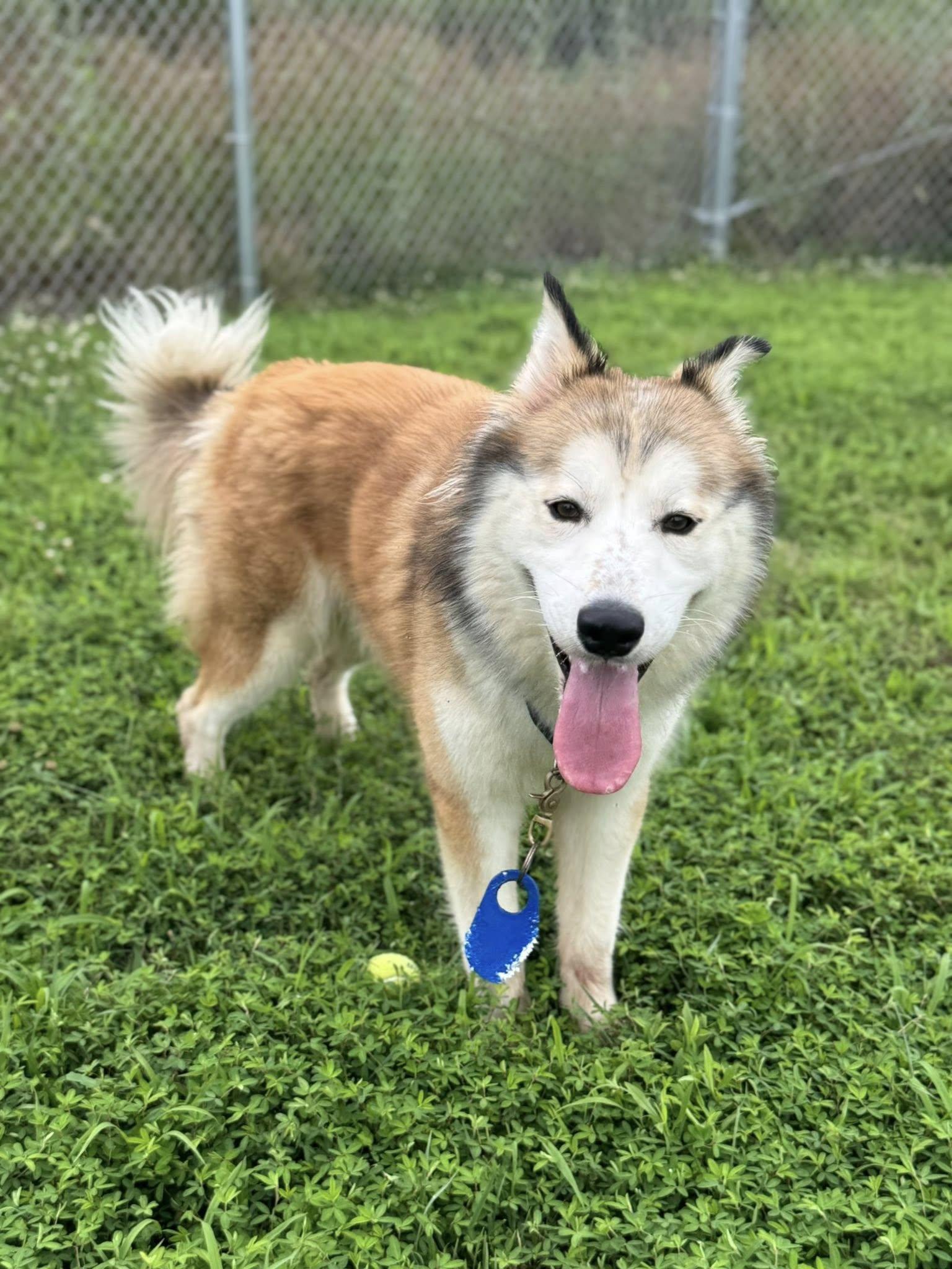 Finnigan (ID 45745/3422)