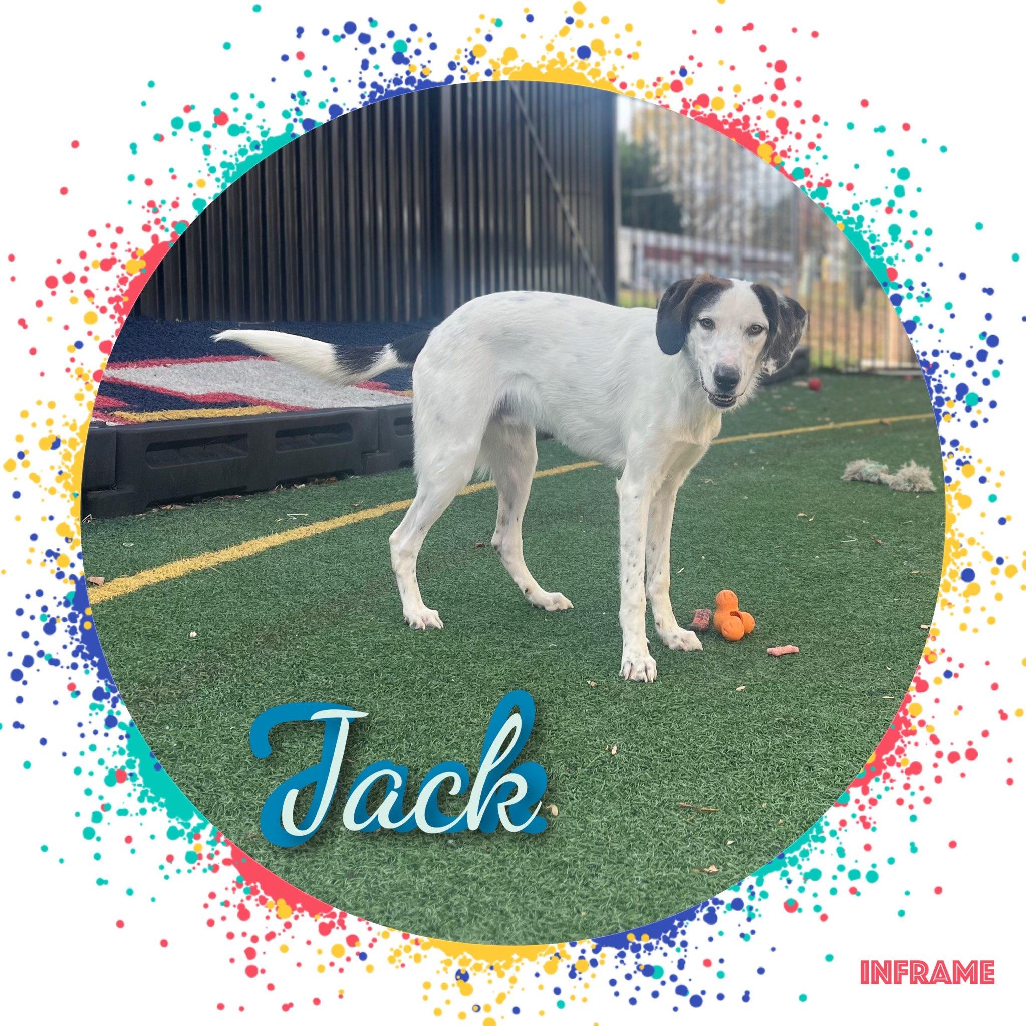 Jack