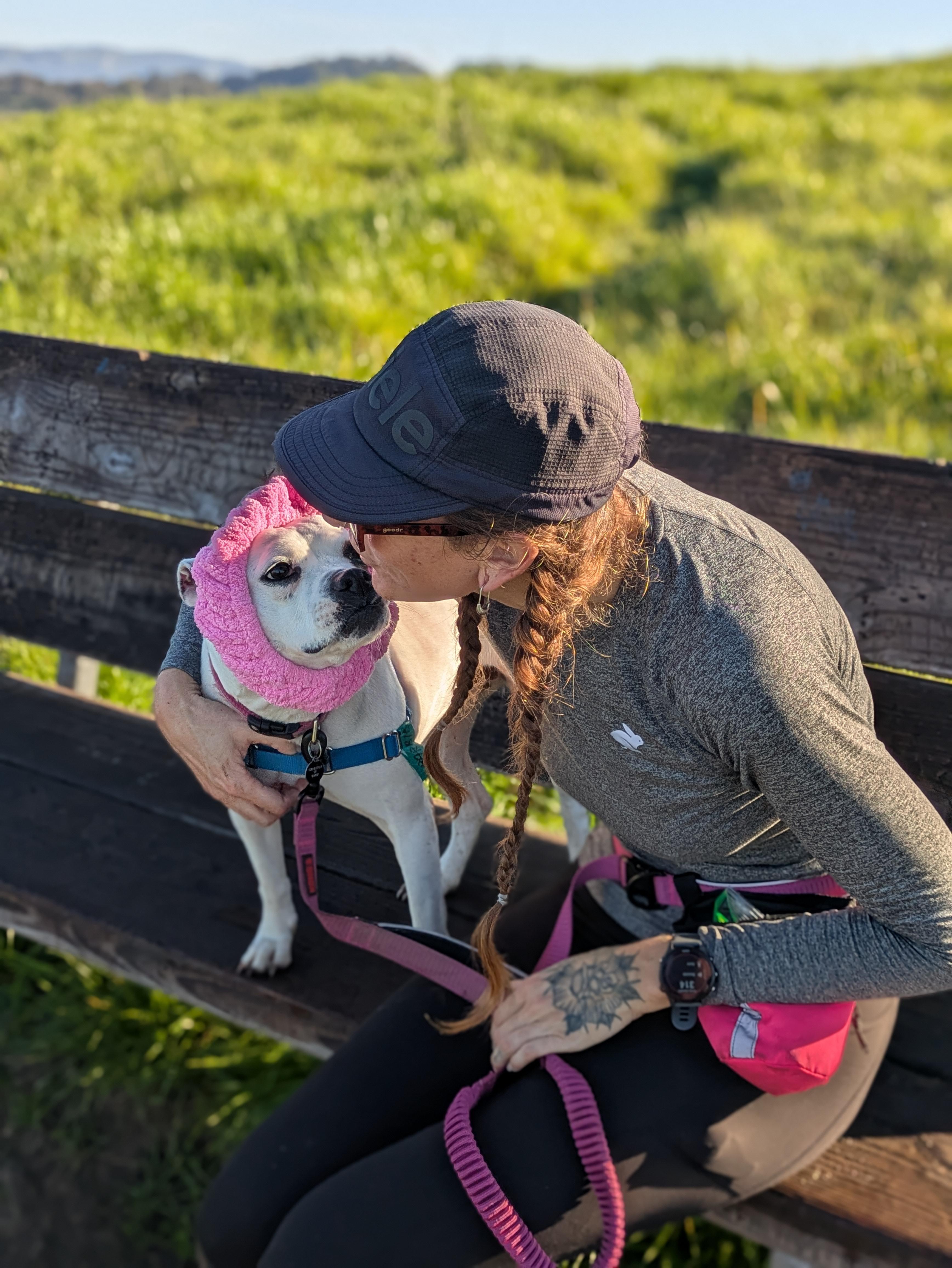 Enlarge Barbie, a Adoptable mixed breed in Santa Rosa, CA image 5/6