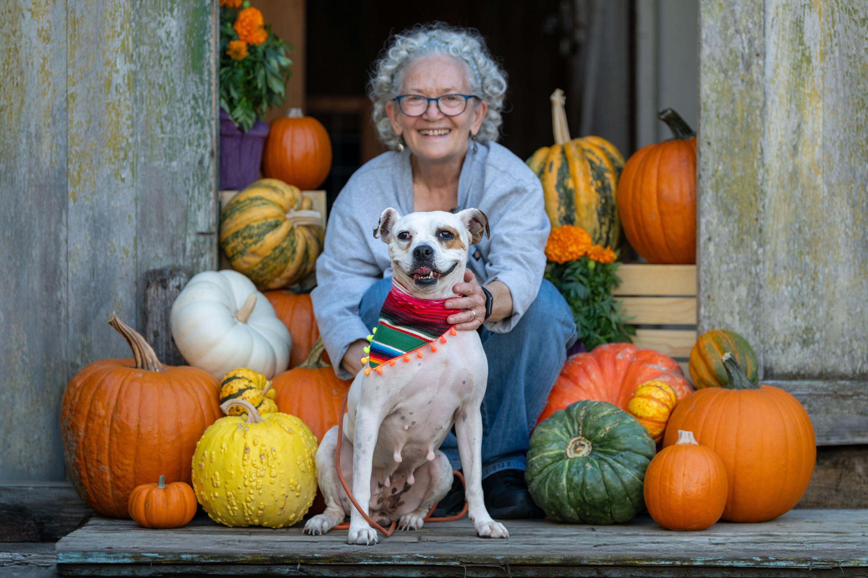 Barbie, a Adoptable mixed breed in Santa Rosa, CA image 3/4