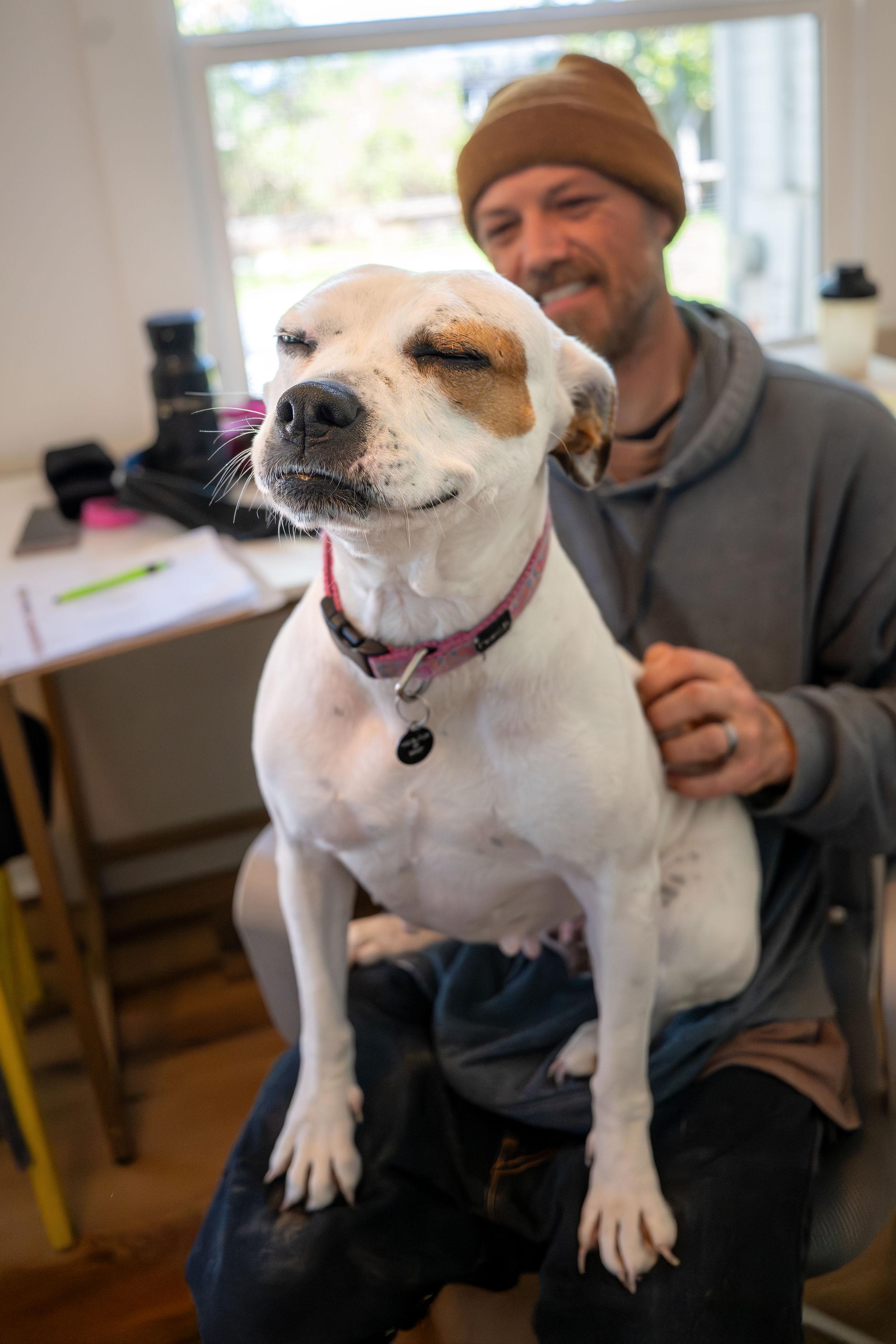 Enlarge Barbie, a Adoptable mixed breed in Santa Rosa, CA image 4/5