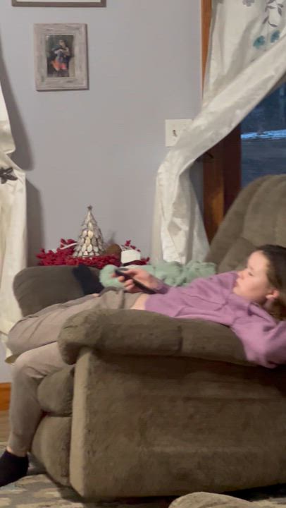 Enlarge Nova, an adopted Domestic Short Hair in Caseville, MI video 1/2