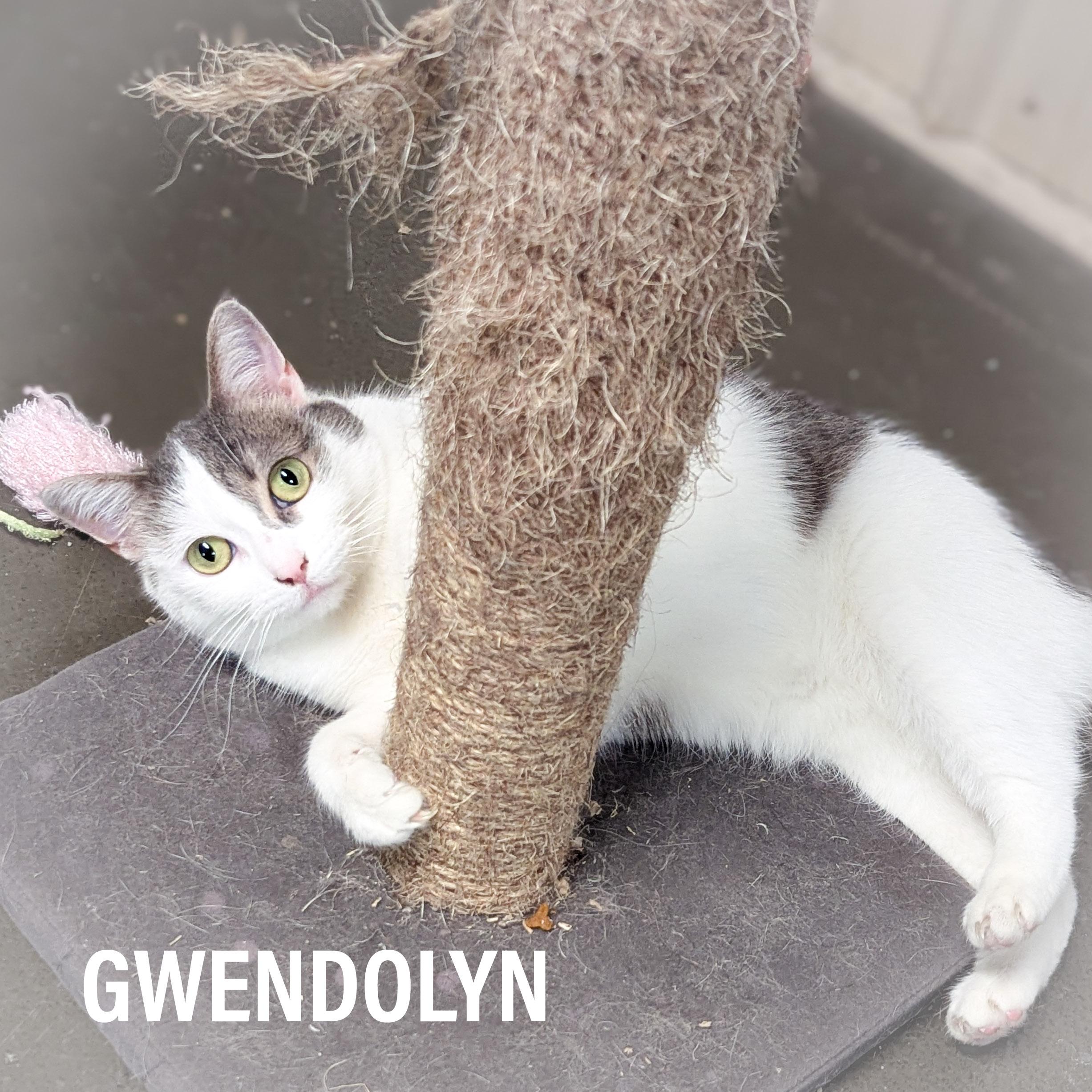 GWENDOLYN