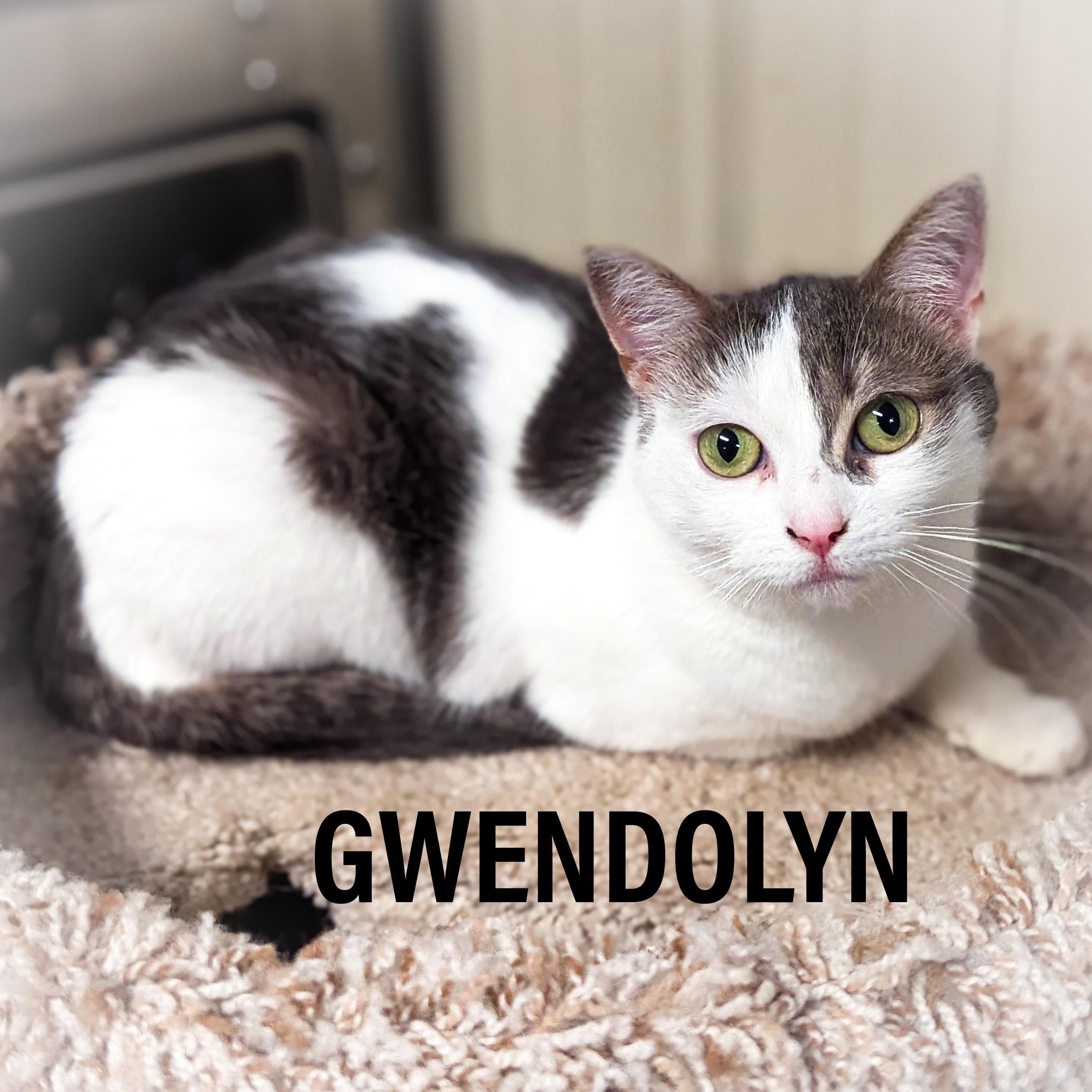 GWENDOLYN