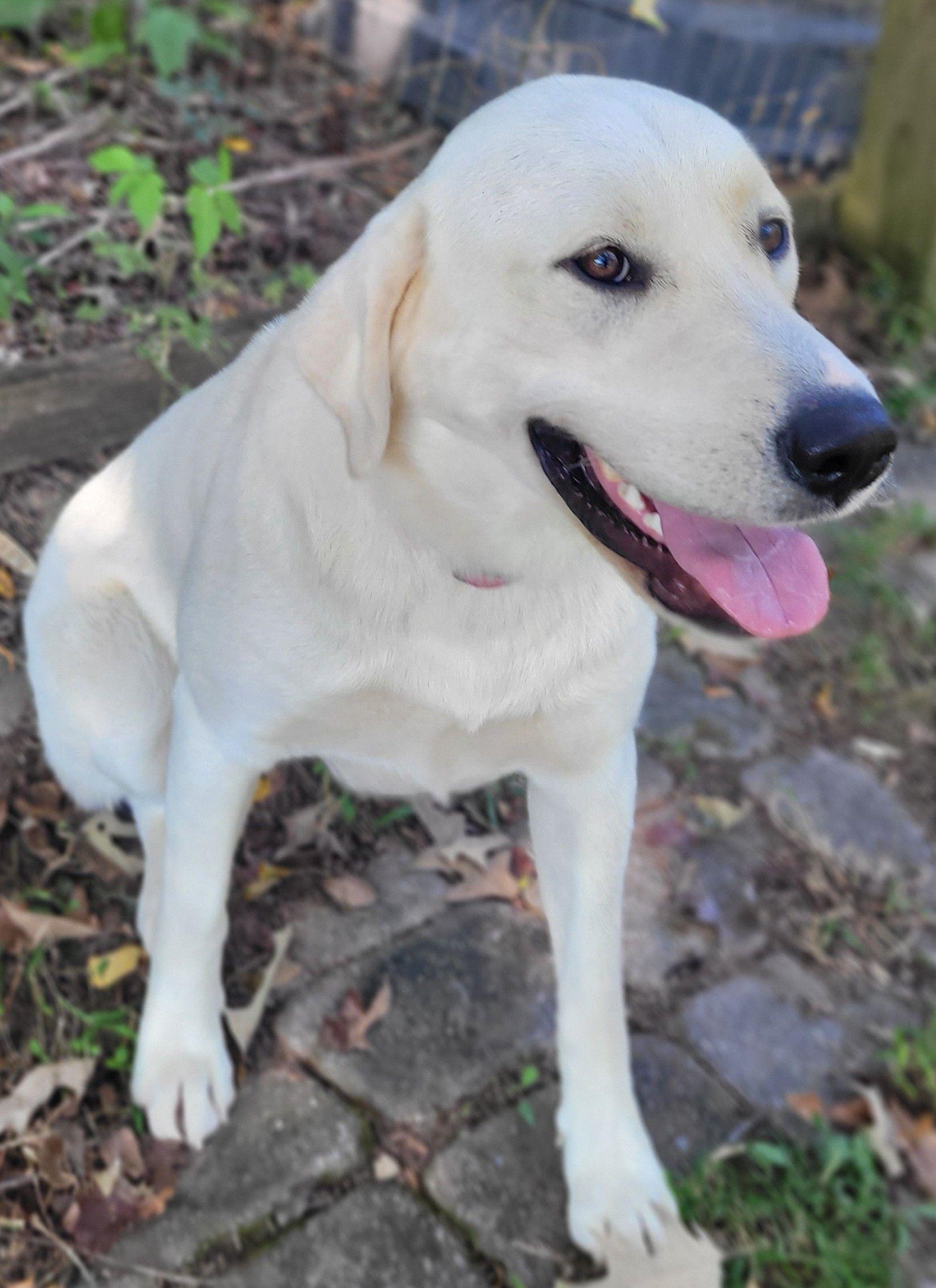 Lola #32