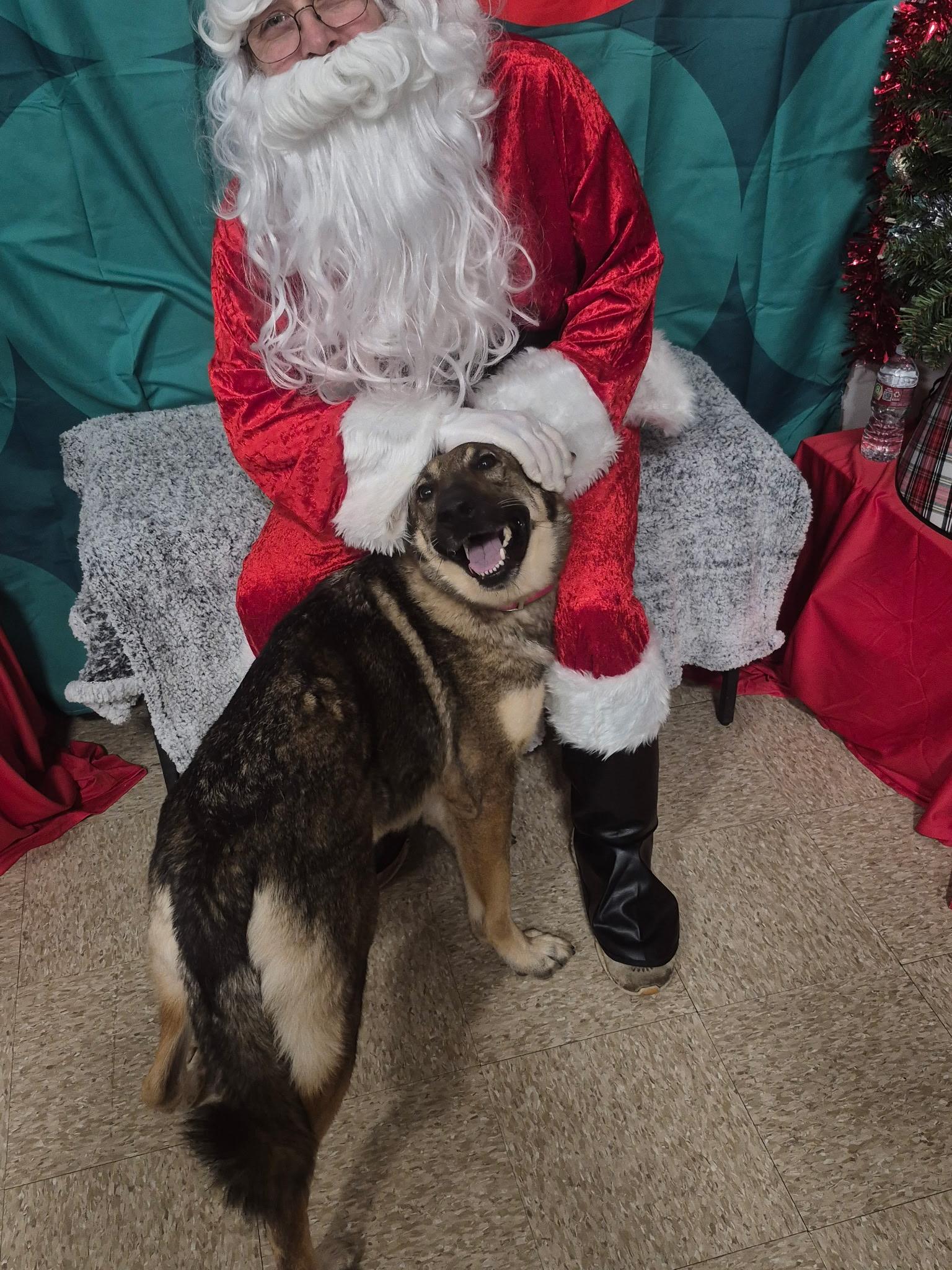 Athena Amazing — thumbnail 2