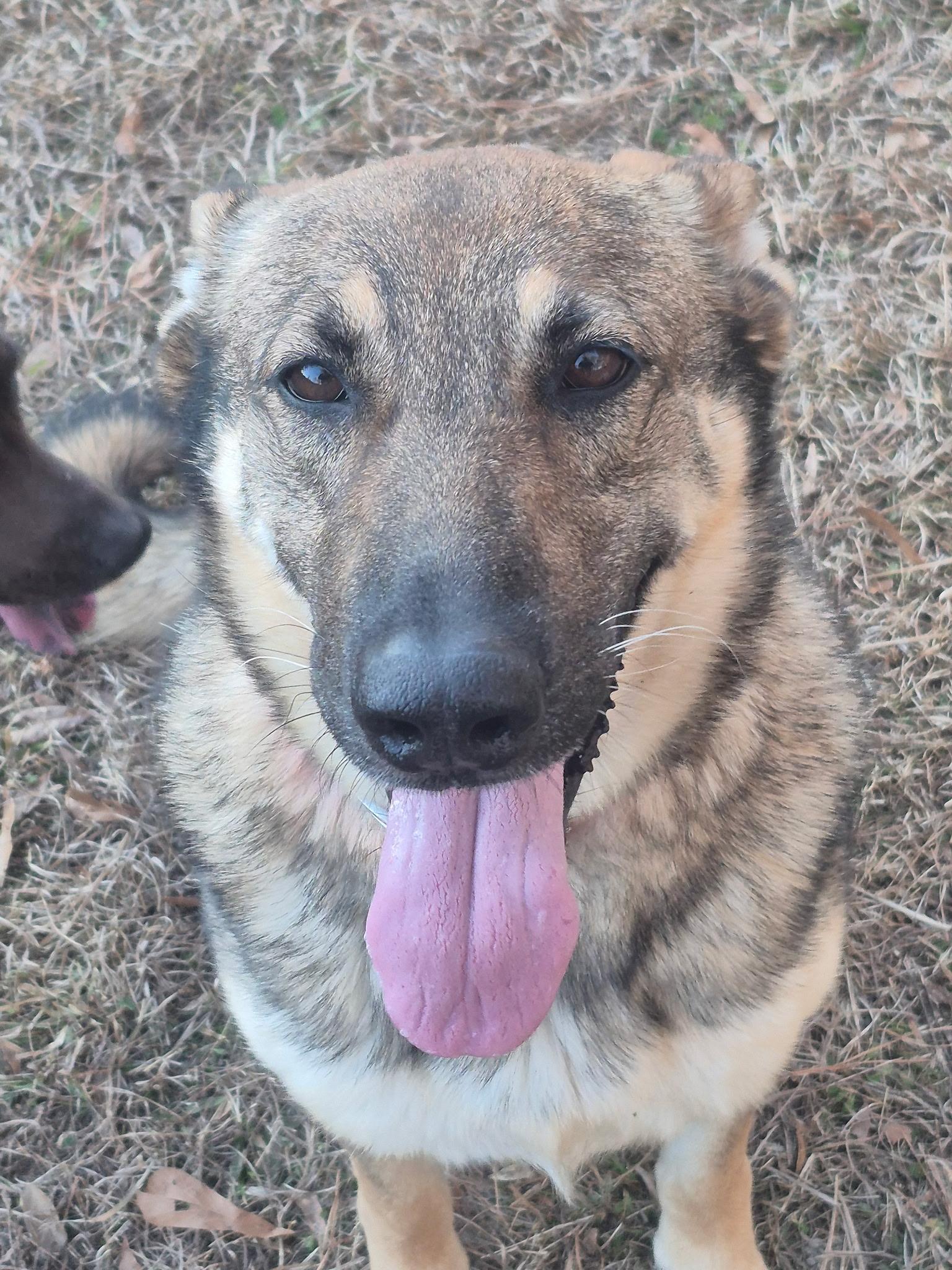 Athena Amazing — thumbnail 3