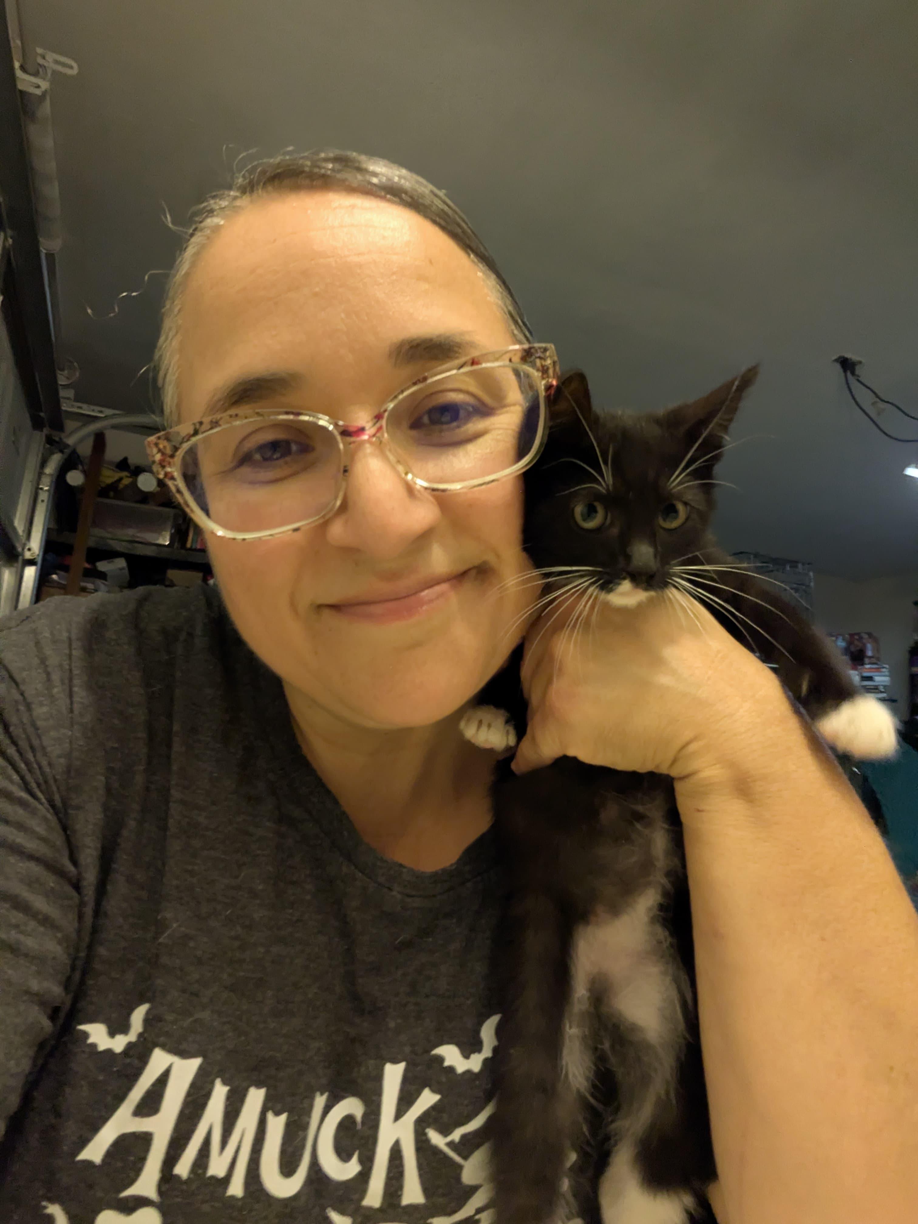 Enlarge Rico, an adopted Tuxedo in Bell Gardens, CA image 2/2