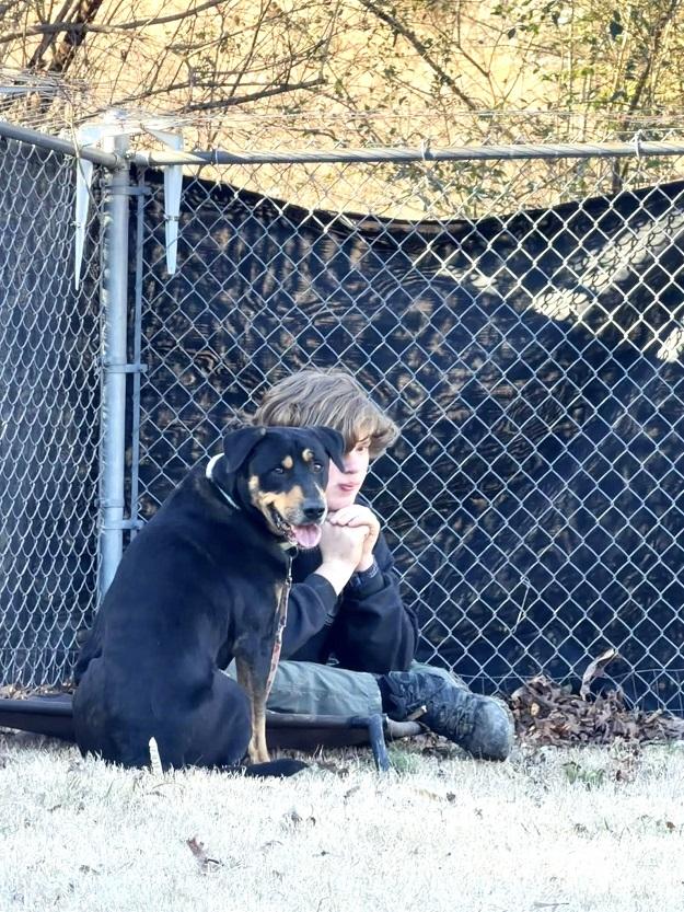 Enlarge DOBIE, a ADOPTABLE mixed breed in Pegram, TN image 5/6