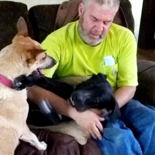 Enlarge Jinkys , a Adopted mixed breed in mattoon, IL image 1/1