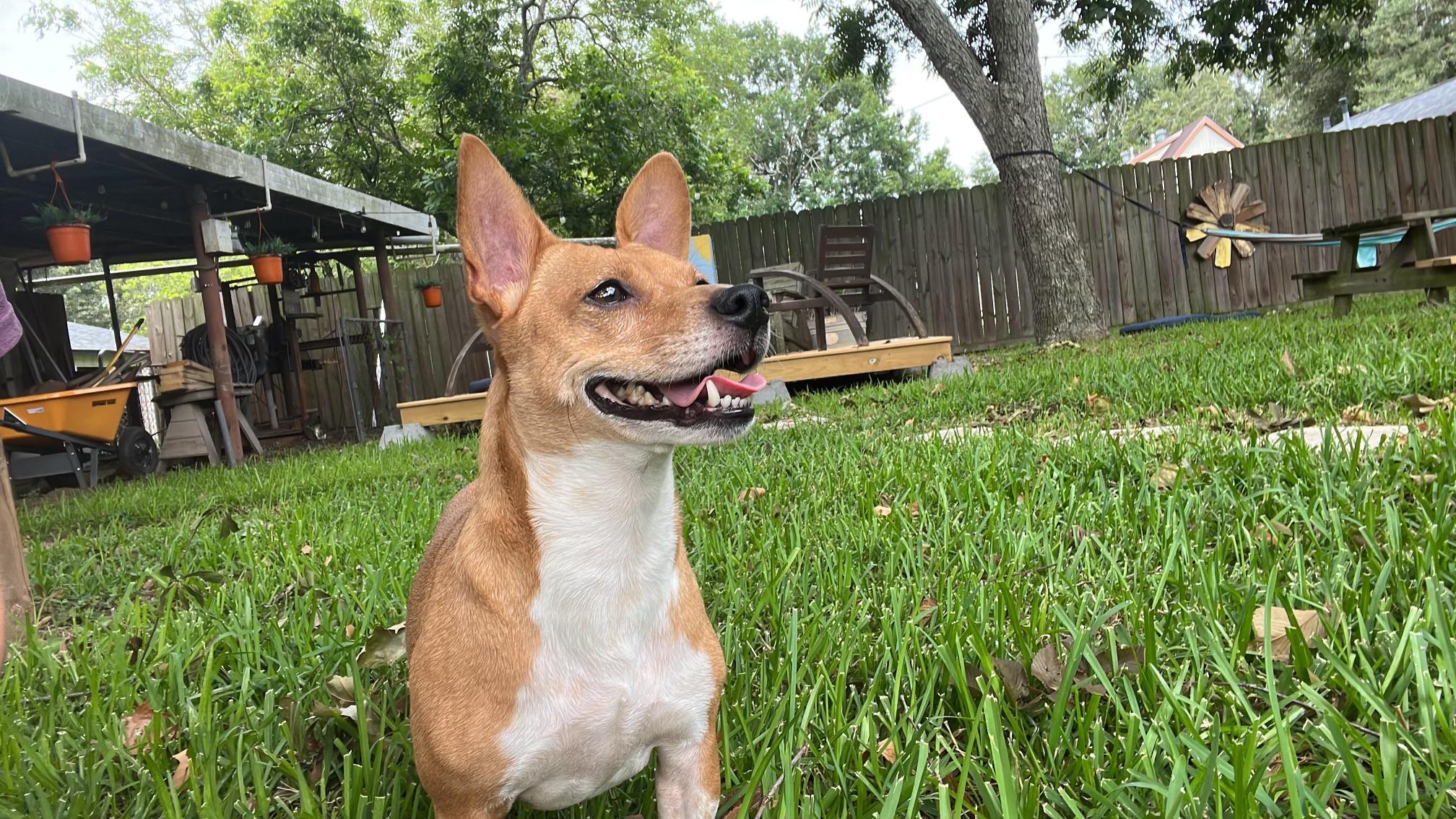 Roxy photo 2