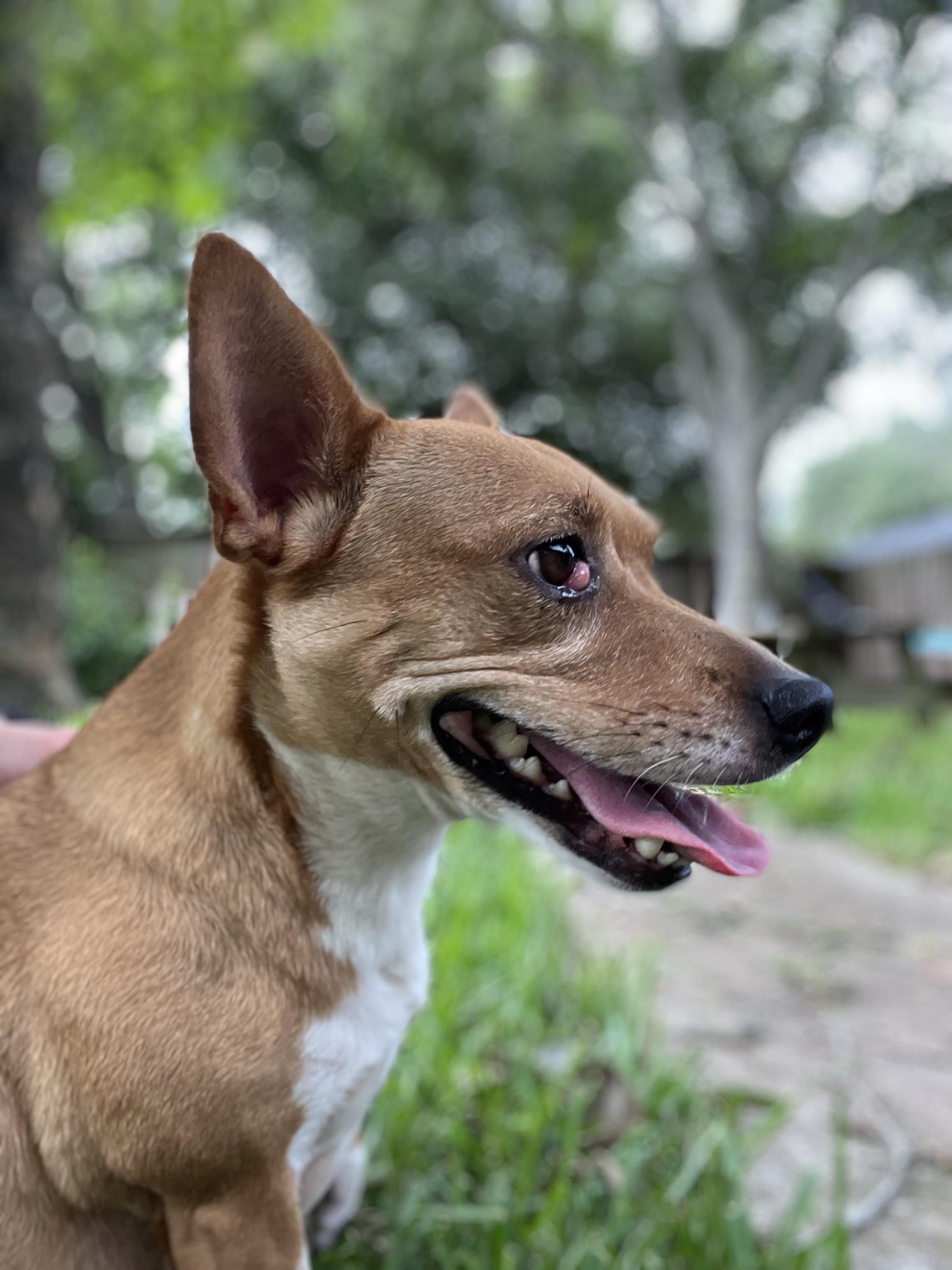 Roxy photo 3