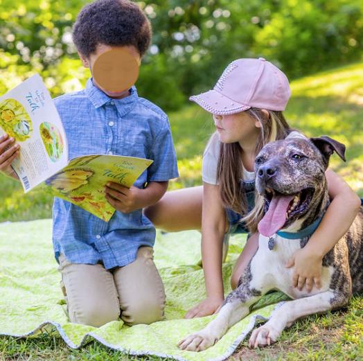 Enlarge Hector *FOSTER NEEDED TOO!, a Adoptable mixed breed in Decatur, GA image 2/6