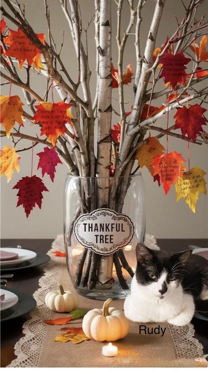 Rudy, Adoptable, Young Male Domestic Short Hair.