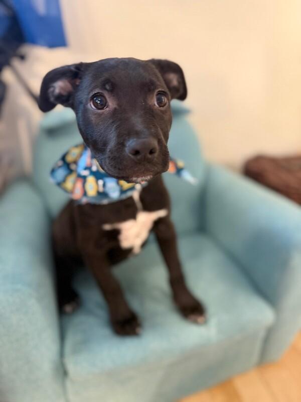 Hawaii State — thumbnail 3