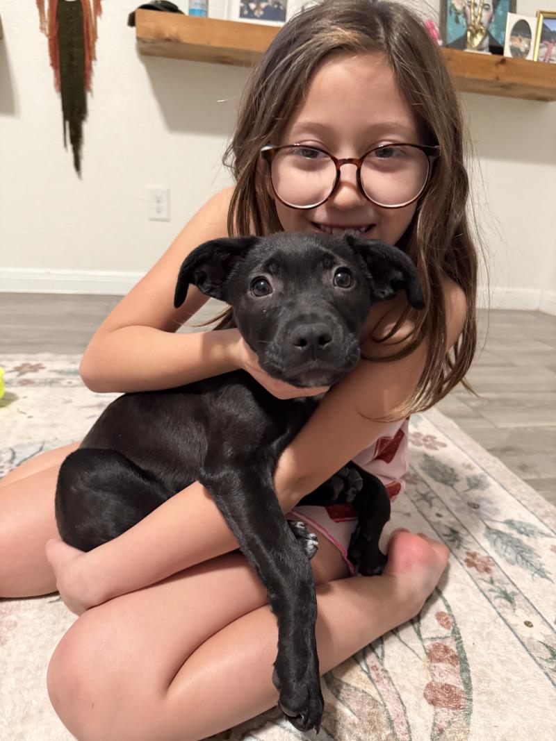 Hawaii State — thumbnail 5