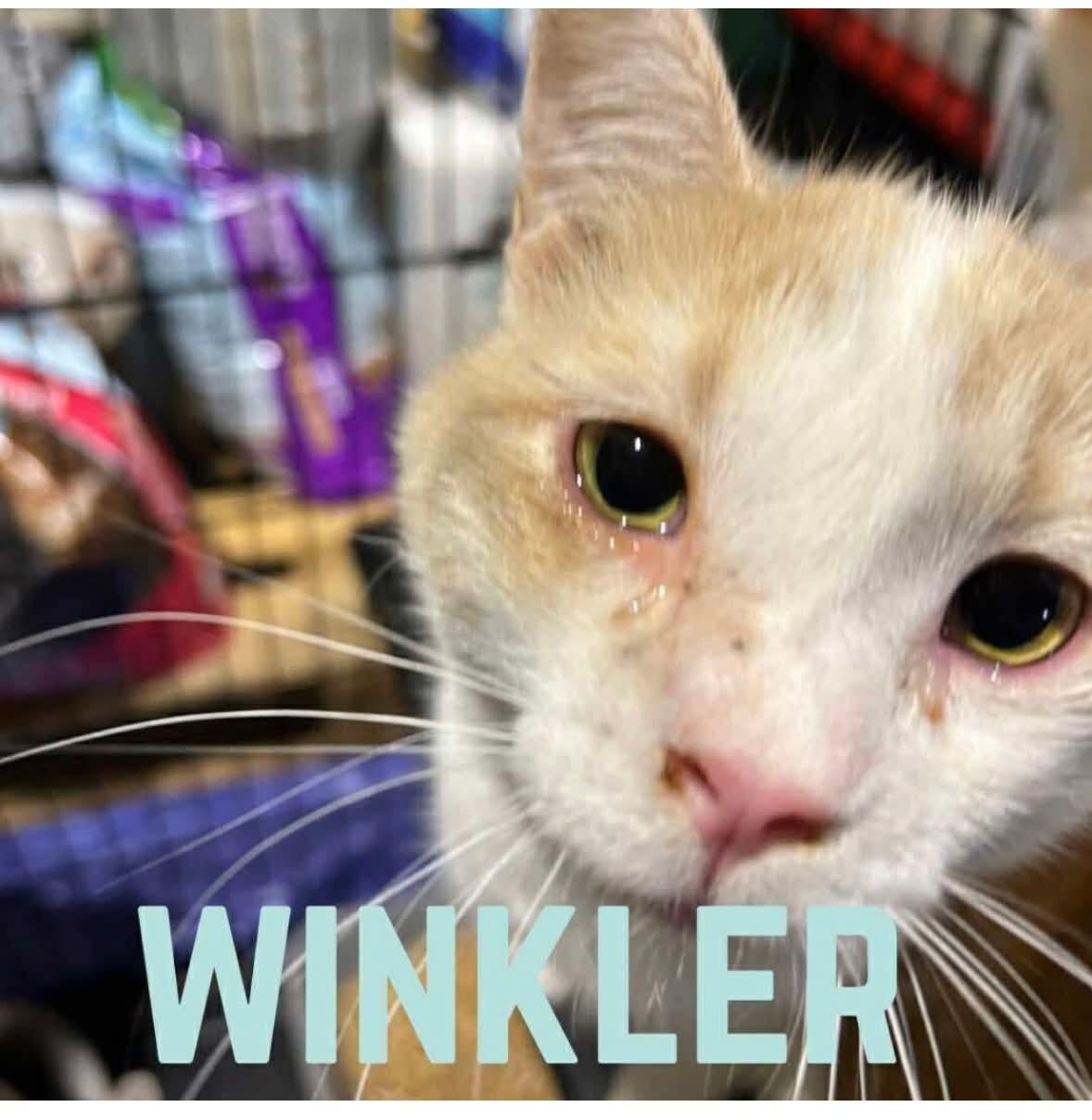 WINKLER