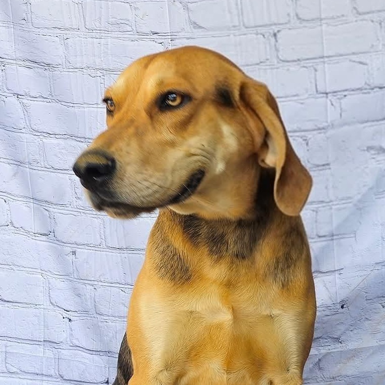 Salem | Courtesy post