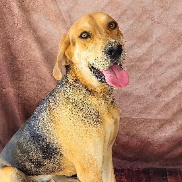 Salem | Courtesy post