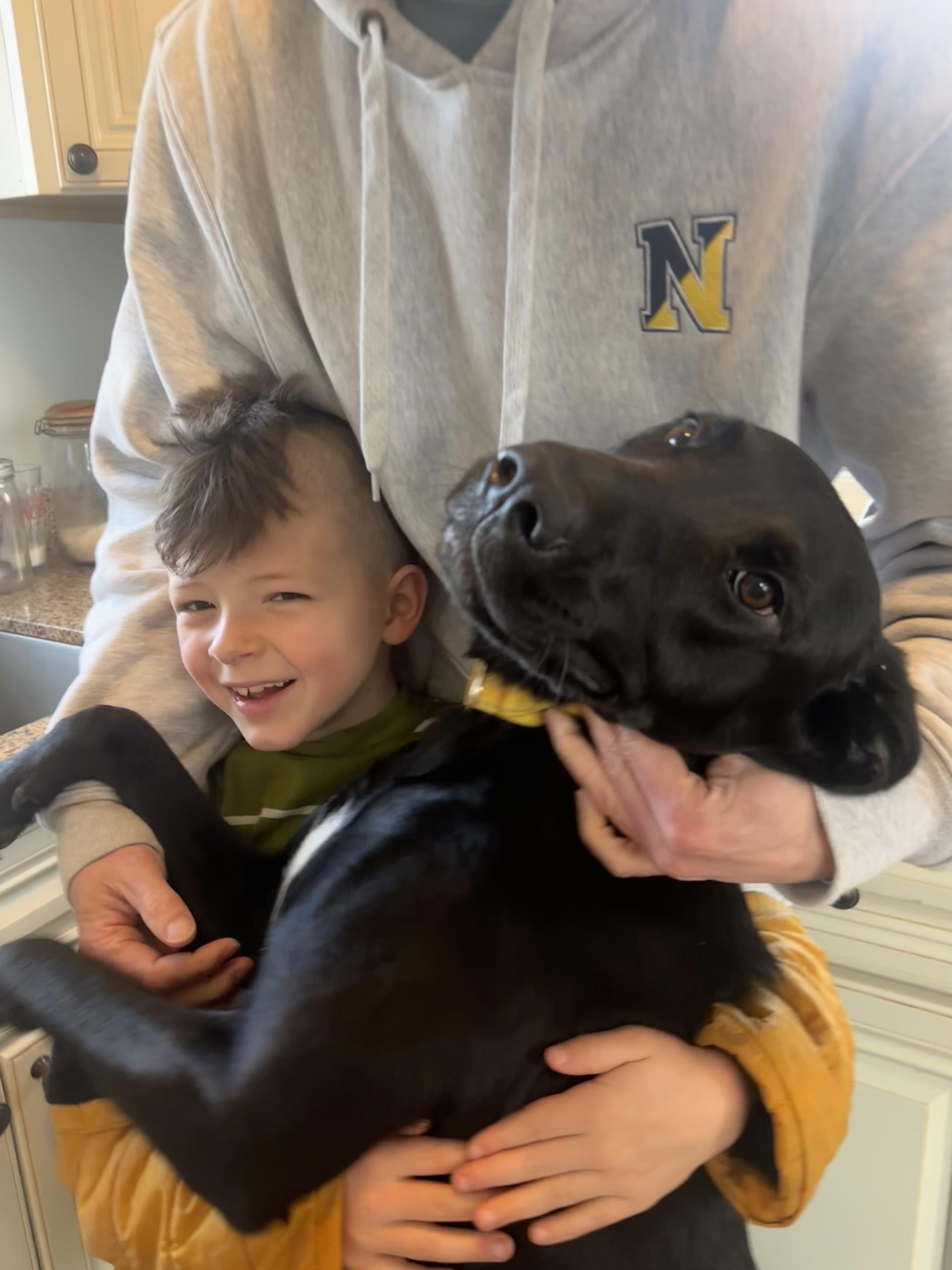 Enlarge Ella Mae Momma Skates - Local Lady, a ADOPTABLE mixed breed in Andover, MA image 4/6