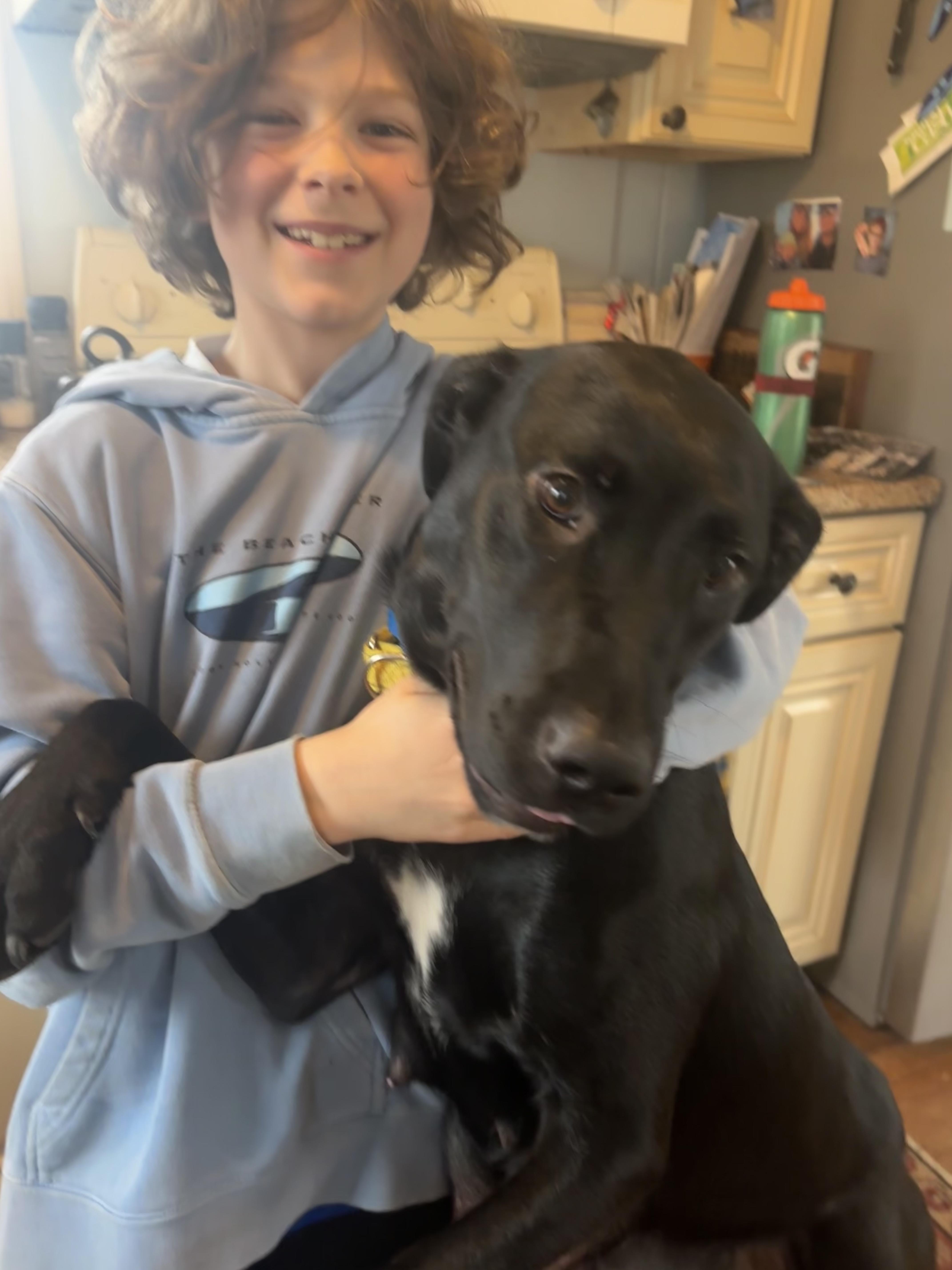 Enlarge Ella Mae Momma Skates - Local Lady, a ADOPTABLE mixed breed in Andover, MA image 2/6