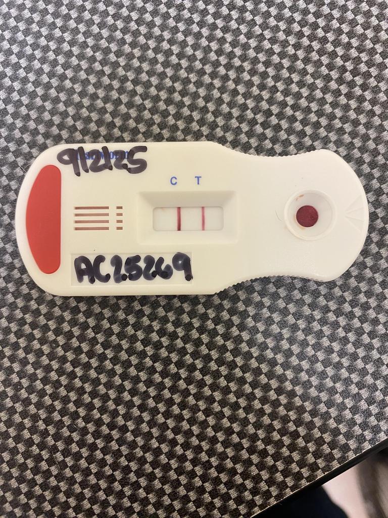 Enlarge Oil Spill, a Adoptable mixed breed in Florence, SC image 2/4